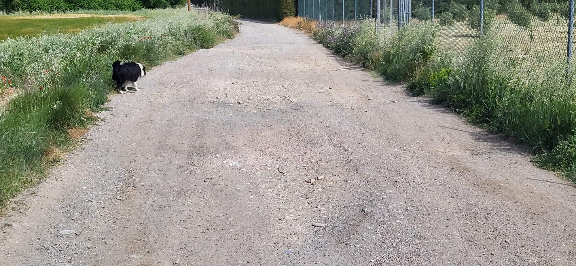 Un recorrido por el Camino de Miquera en Huesca