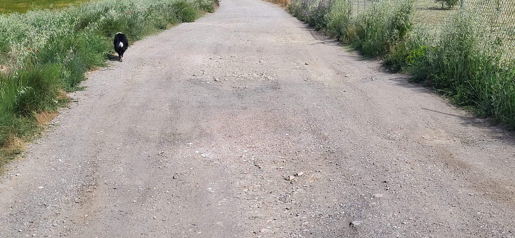 Un recorrido por el Camino de Miquera en Huesca
