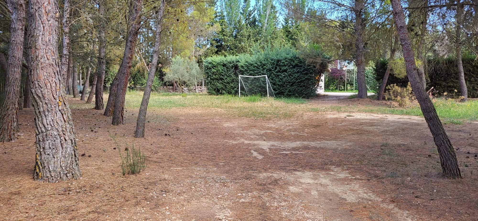 Un recorrido por el Camino de Miquera en Huesca