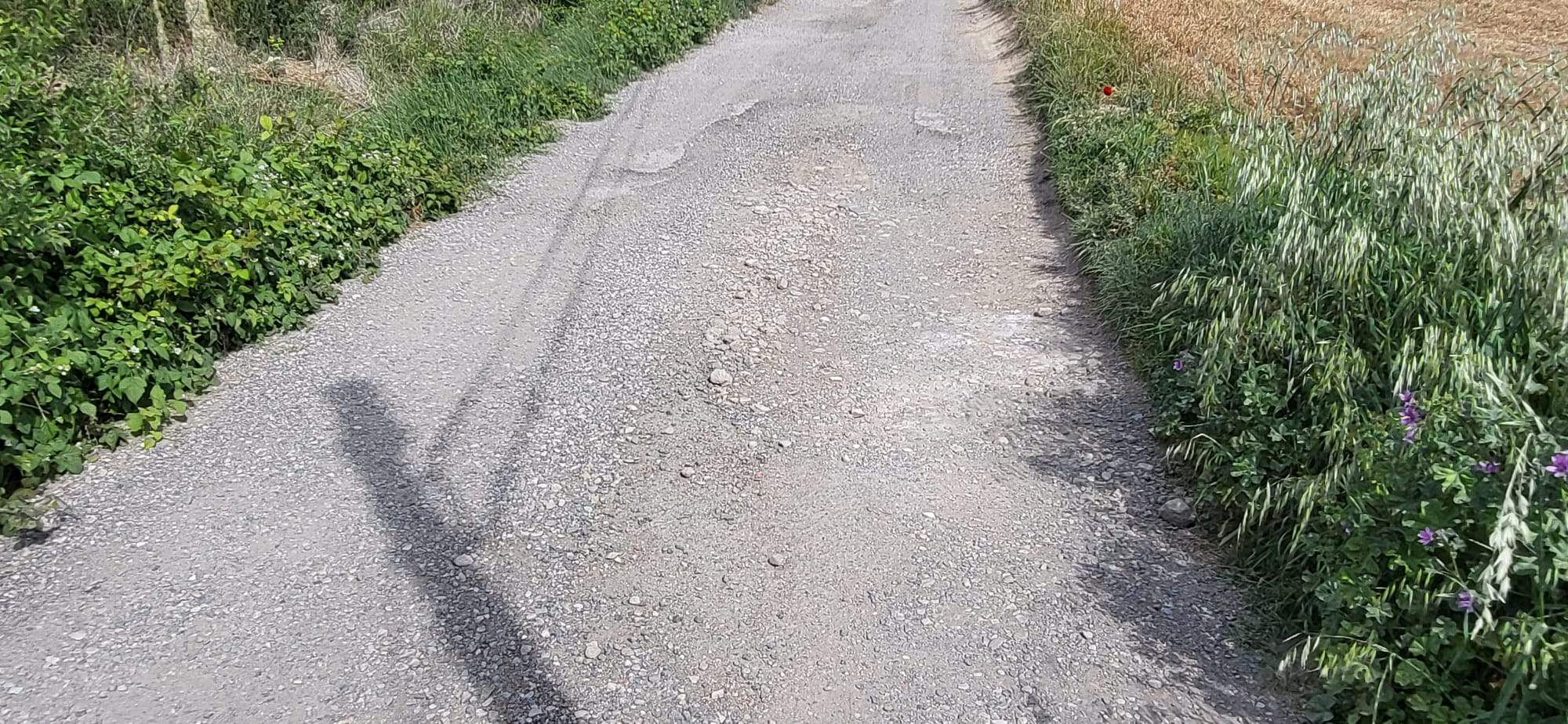 Un recorrido por el Camino de Miquera en Huesca