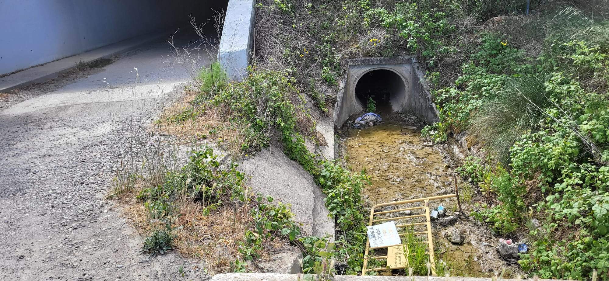 Un recorrido por el Camino de Miquera en Huesca