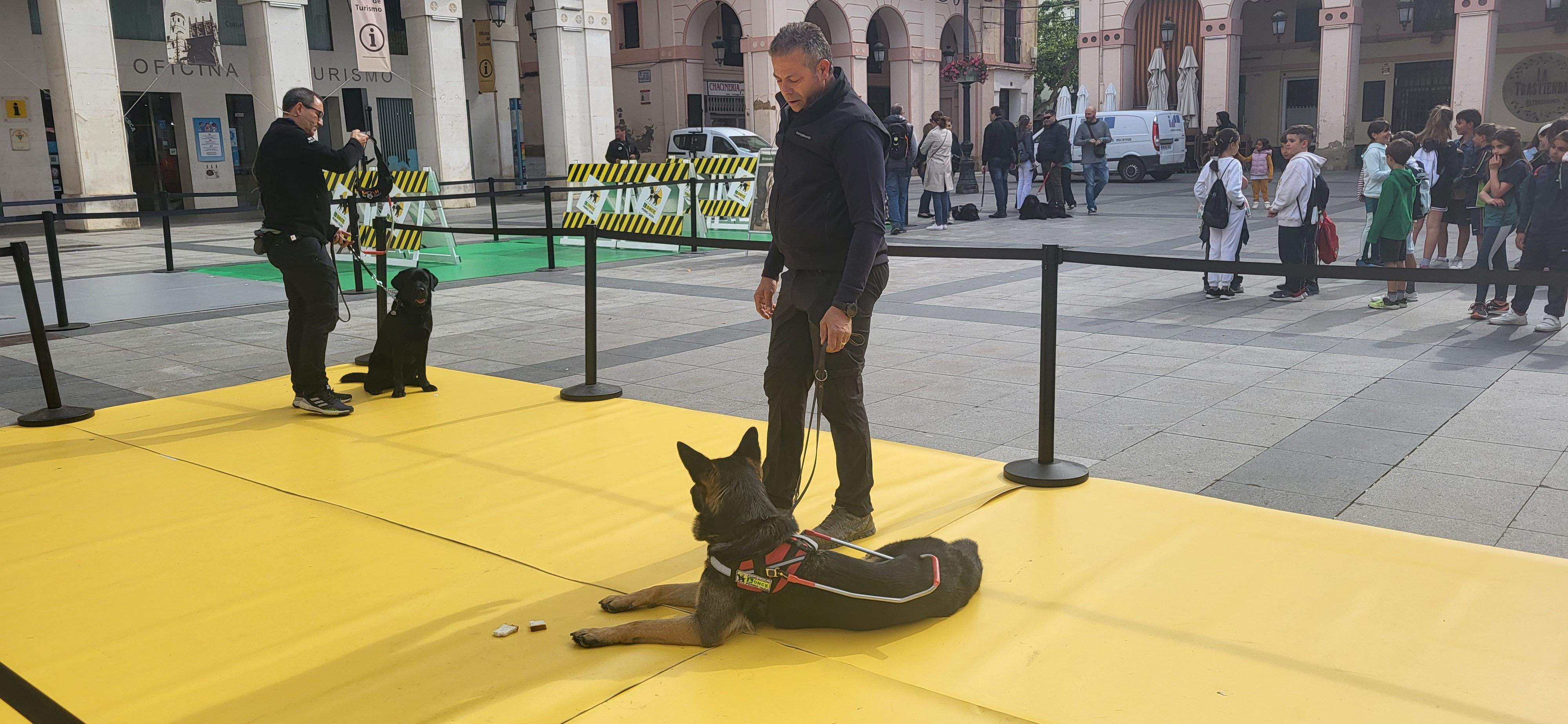 Exhibición con perros guía de la ONCE en Huesca. Foto Myriam Martínez