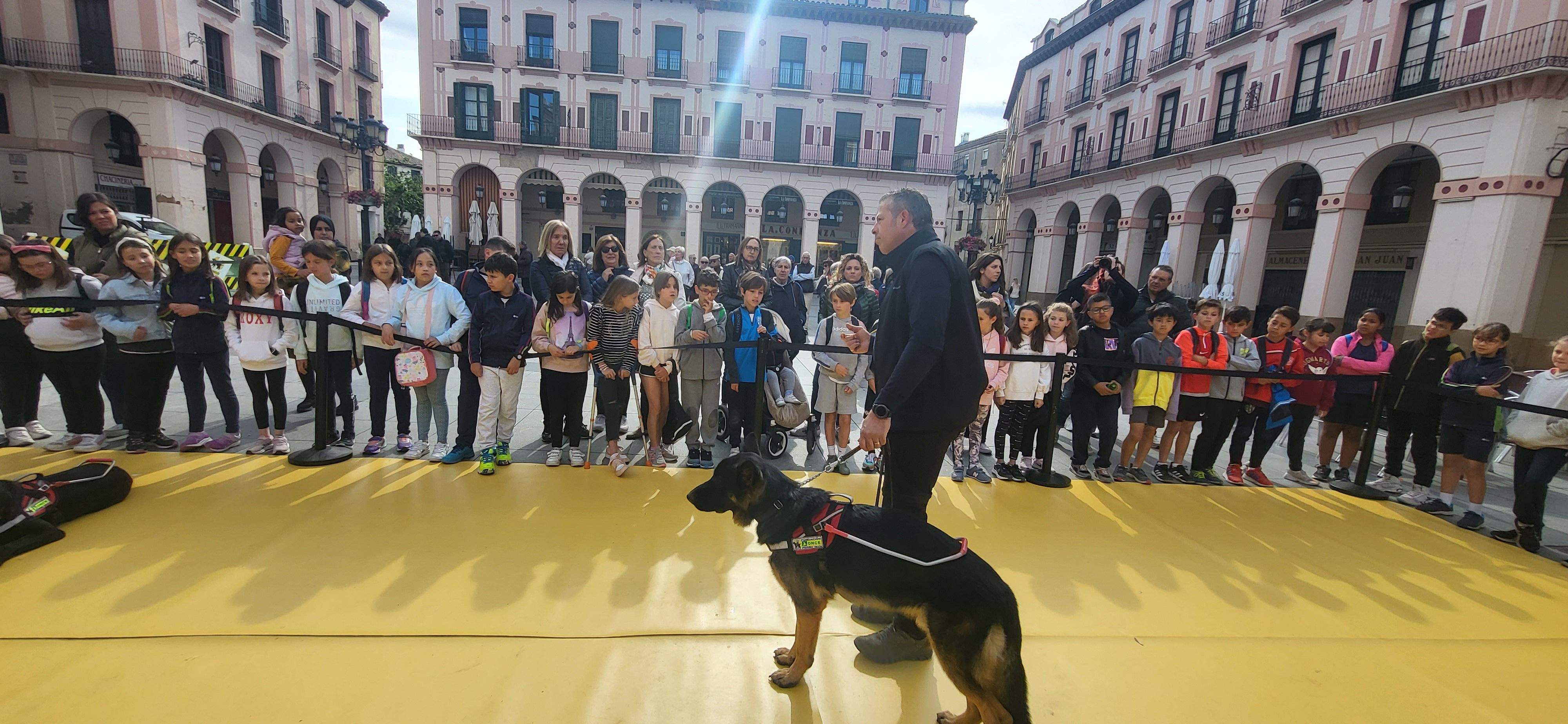Exhibición con perros guía de la ONCE en Huesca. Foto Myriam Martínez