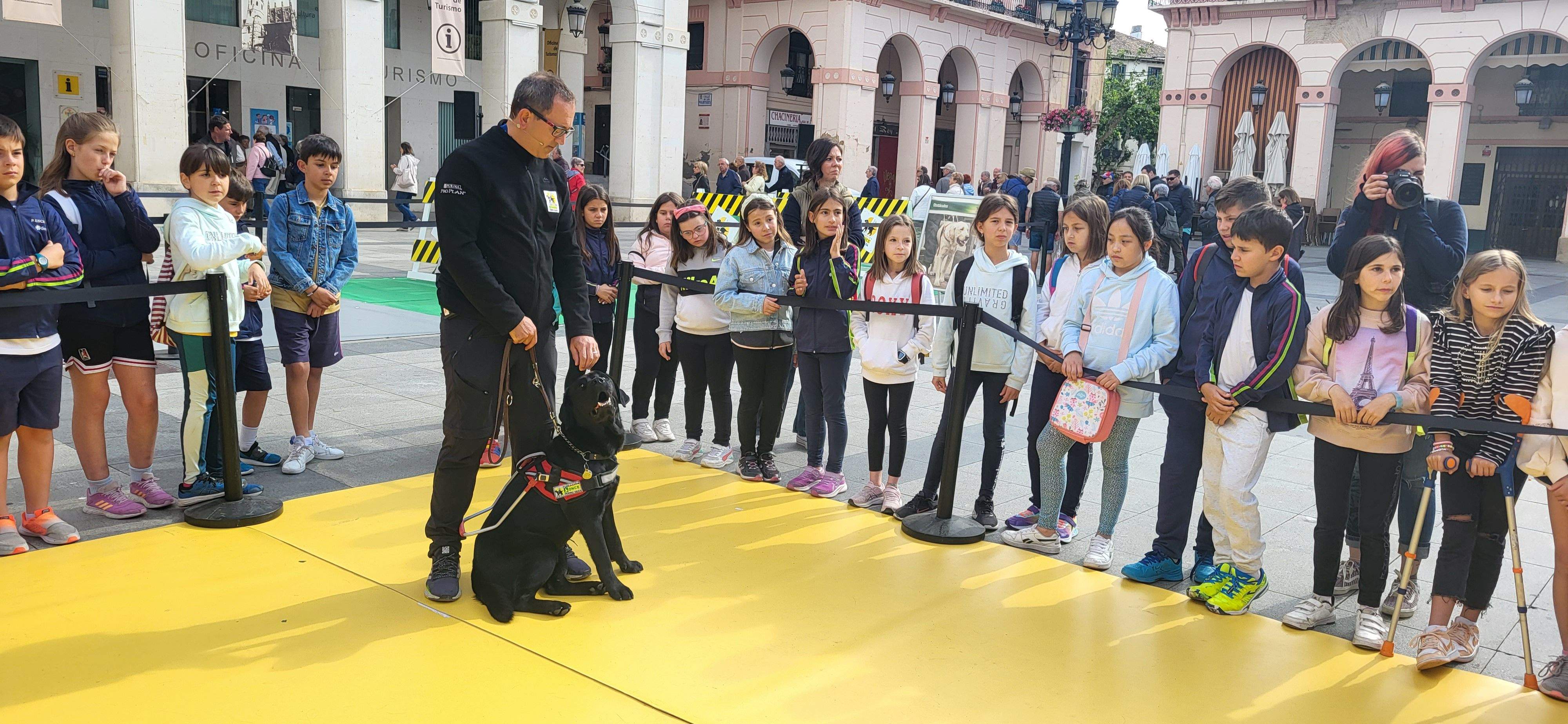 Exhibición con perros guía de la ONCE en Huesca. Foto Myriam Martínez