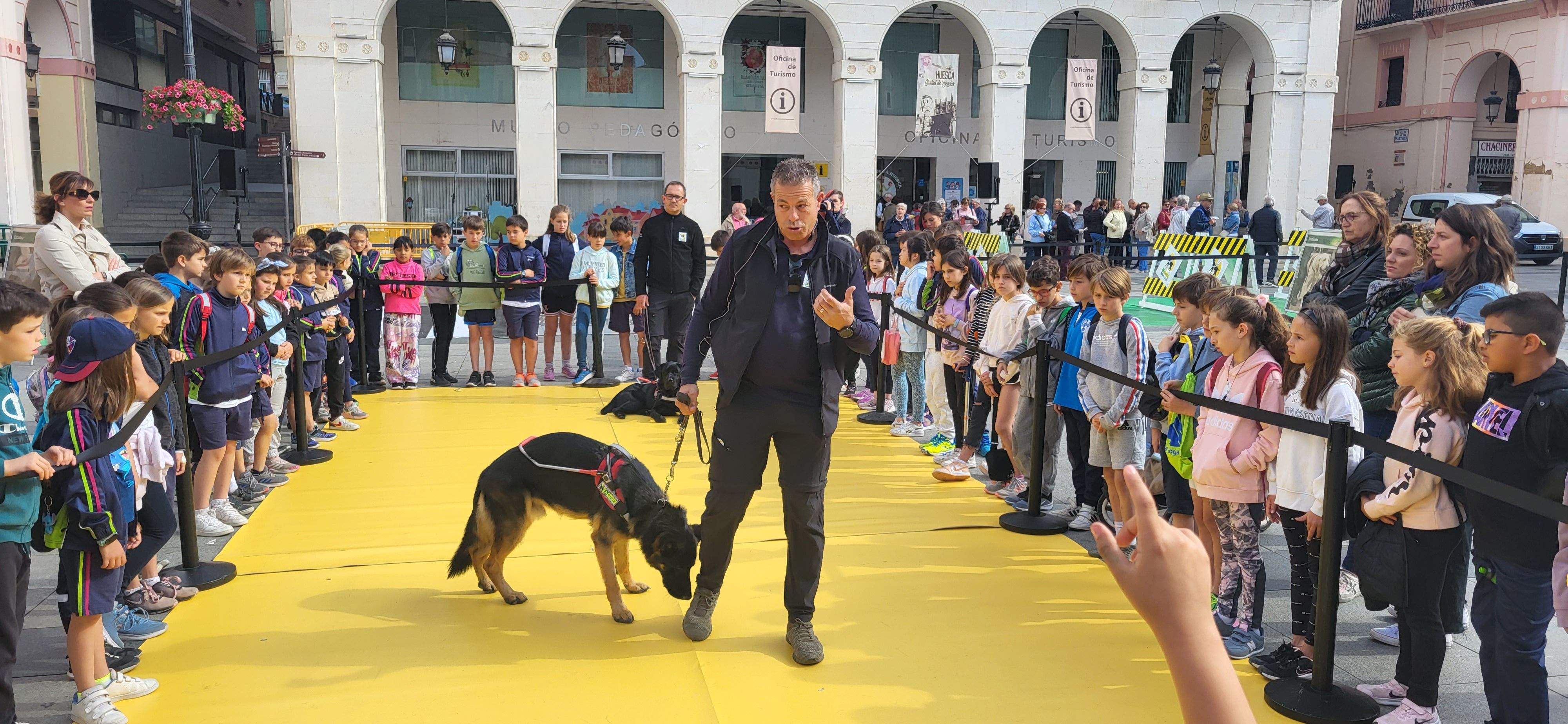 Exhibición con perros guía de la ONCE en Huesca. Foto Myriam Martínez