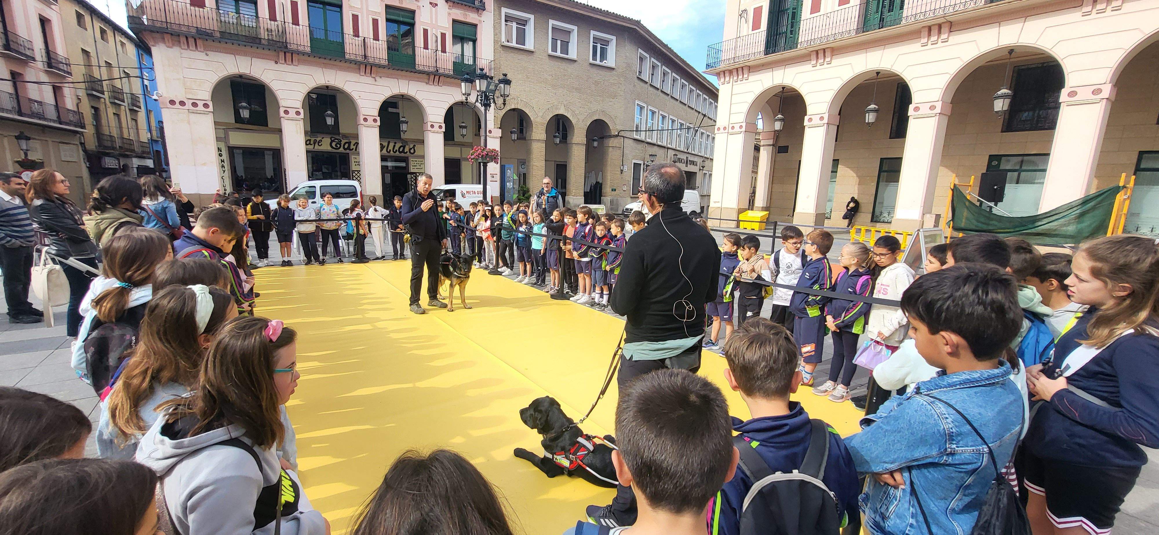 Exhibición con perros guía de la ONCE en Huesca. Foto Myriam Martínez
