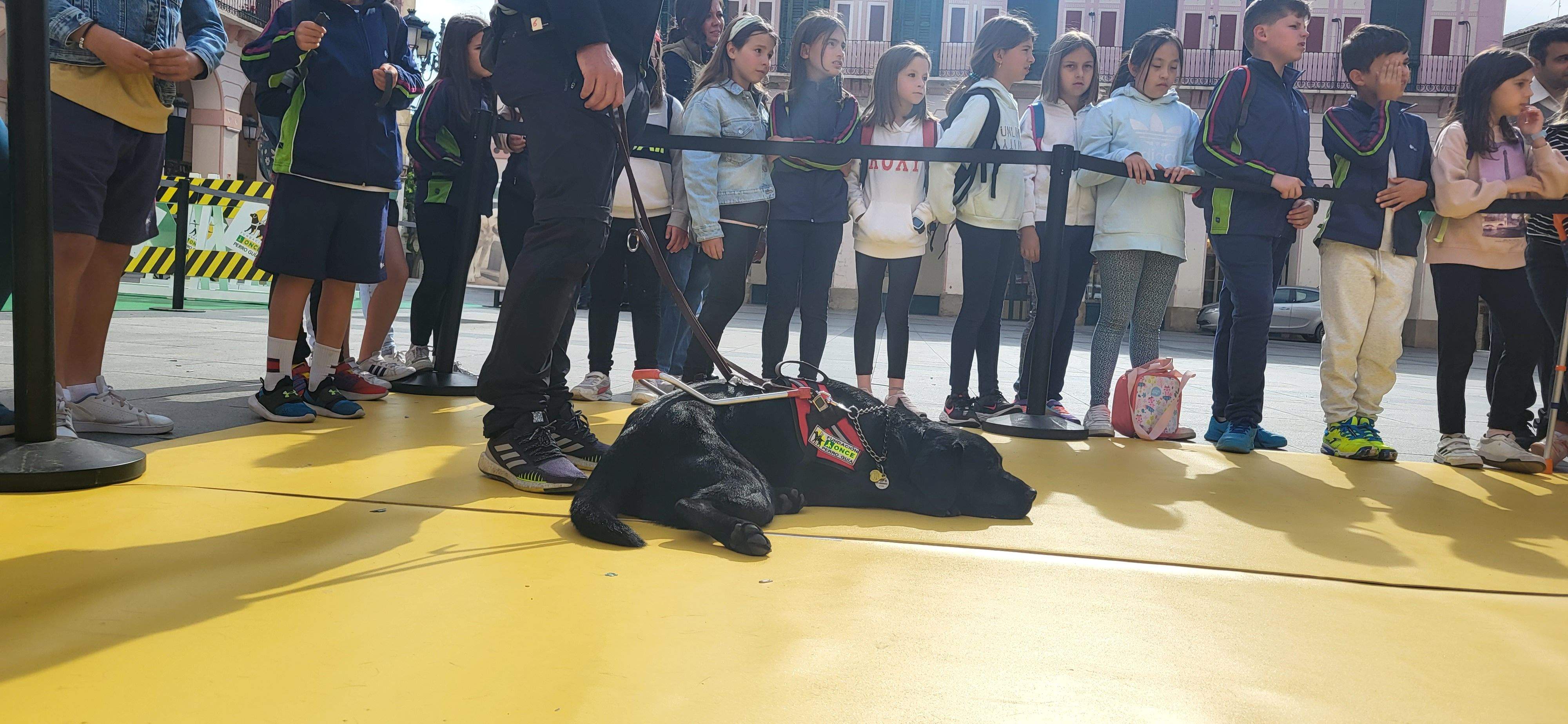 Exhibición con perros guía de la ONCE en Huesca. Foto Myriam Martínez