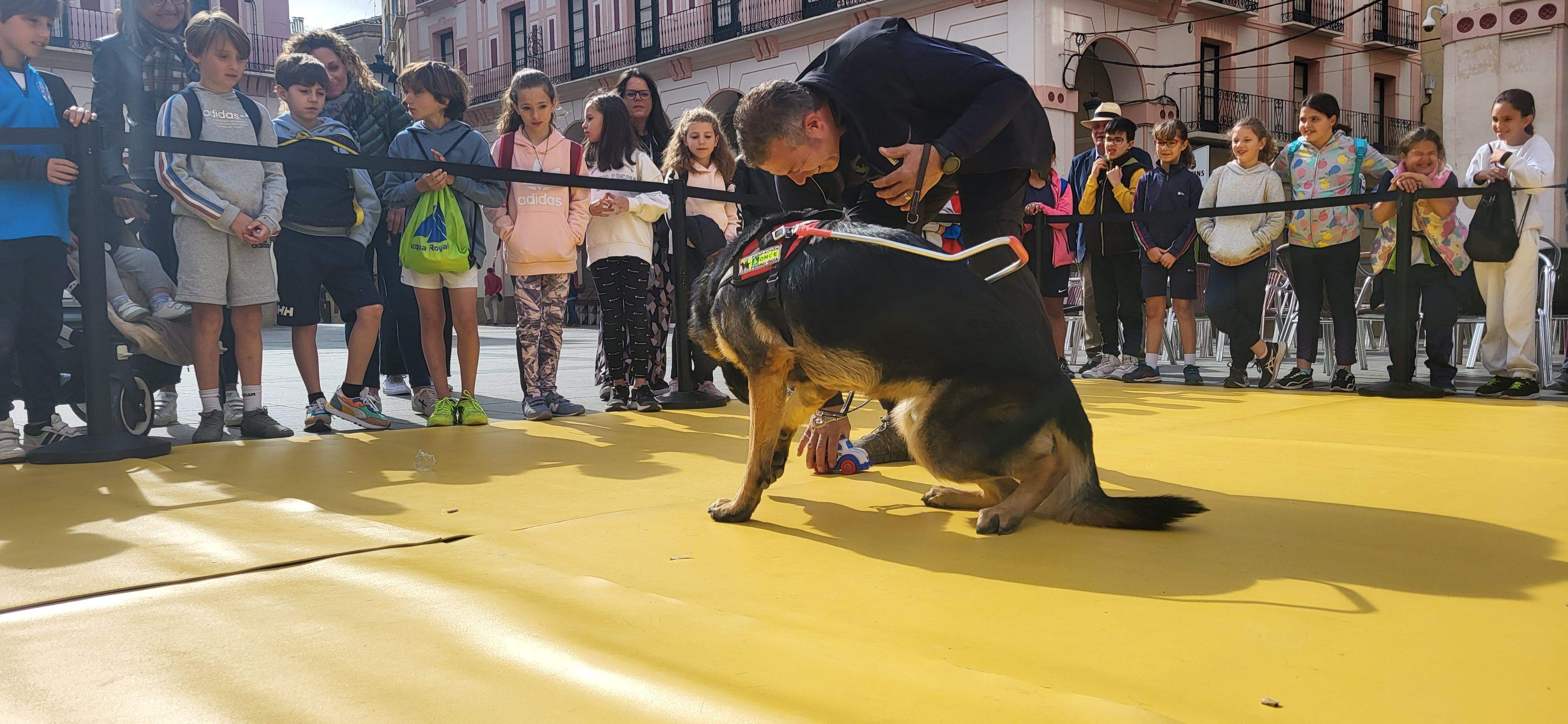 Exhibición con perros guía de la ONCE en Huesca. Foto Myriam Martínez