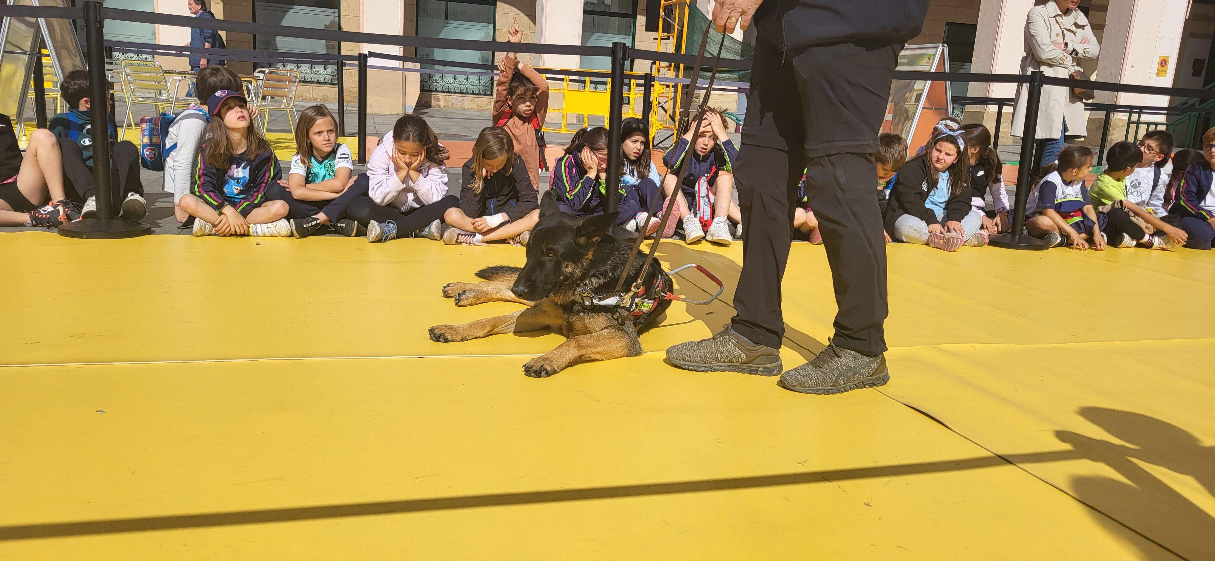 Exhibición con perros guía de la ONCE en Huesca. Foto Myriam Martínez