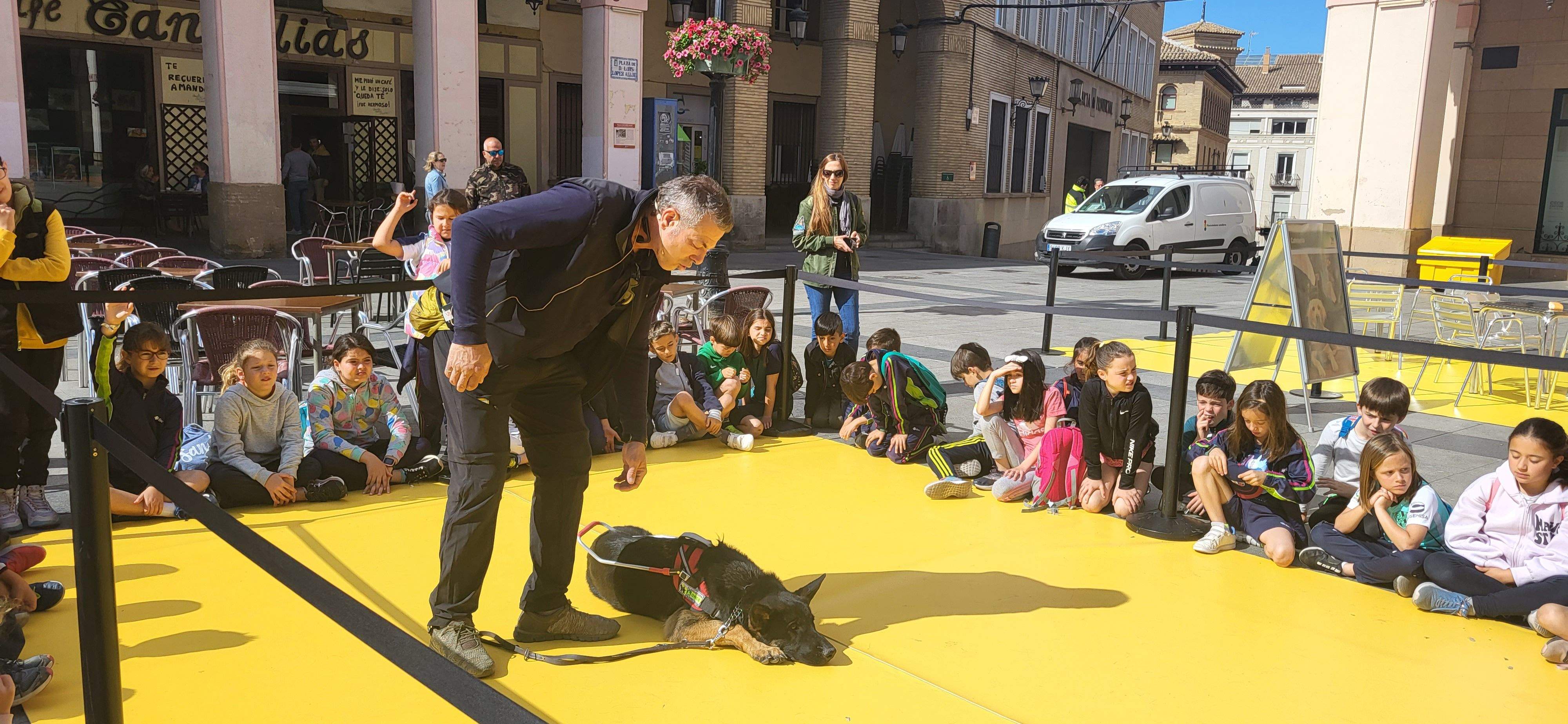 Exhibición con perros guía de la ONCE en Huesca. Foto Myriam Martínez