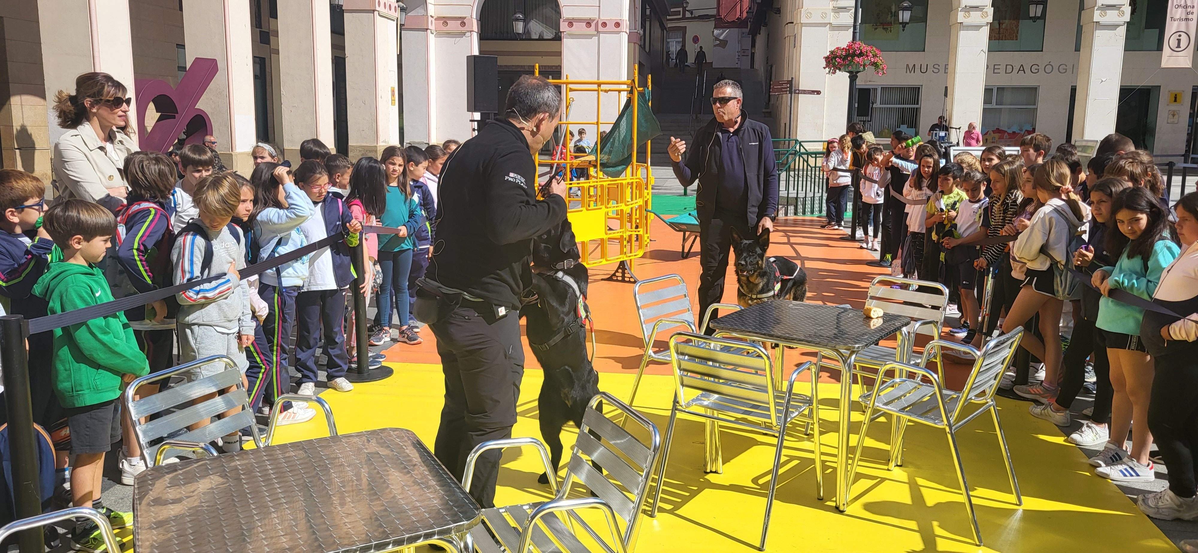 Exhibición con perros guía de la ONCE en Huesca. Foto Myriam Martínez