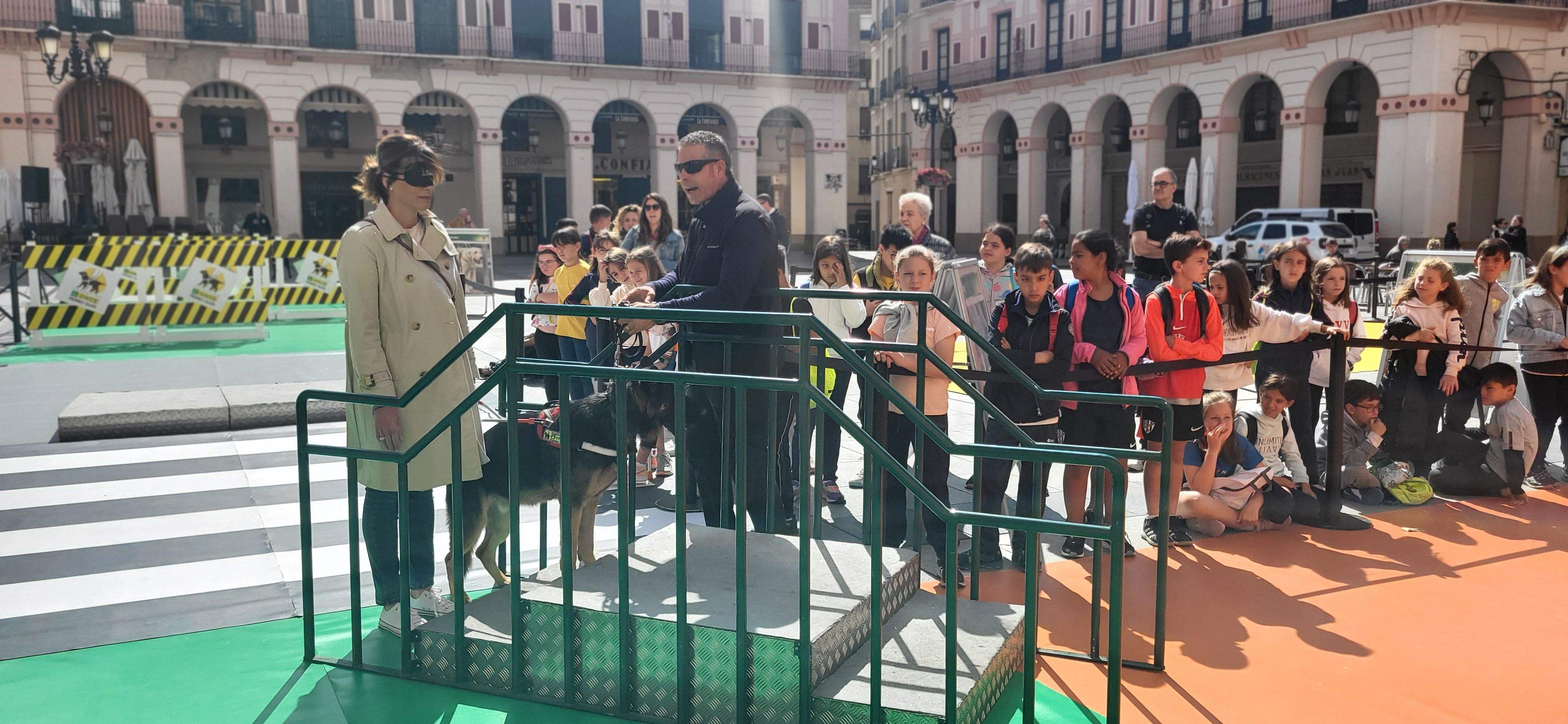 Exhibición con perros guía de la ONCE en Huesca. Foto Myriam Martínez