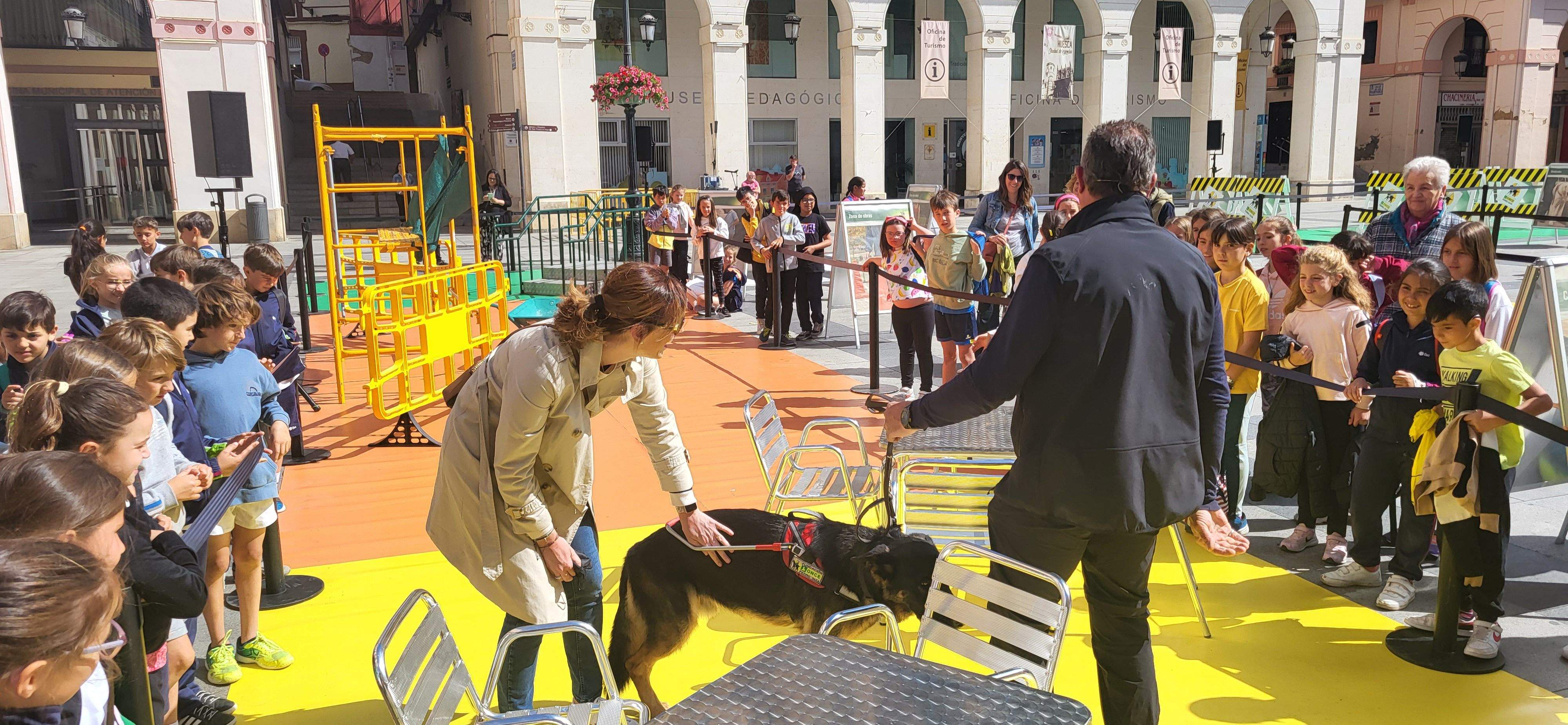 Exhibición con perros guía de la ONCE en Huesca. Foto Myriam Martínez