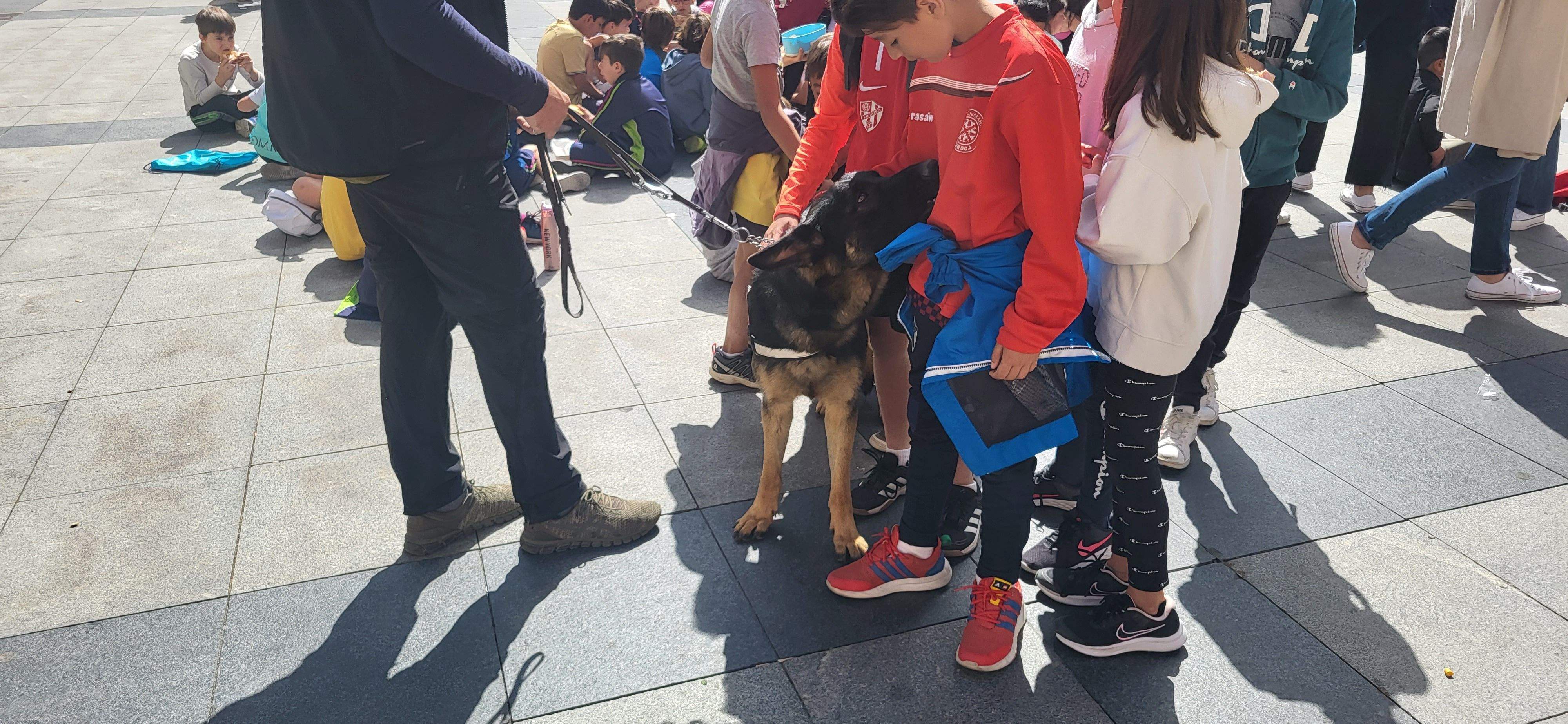 Exhibición con perros guía de la ONCE en Huesca. Foto Myriam Martínez