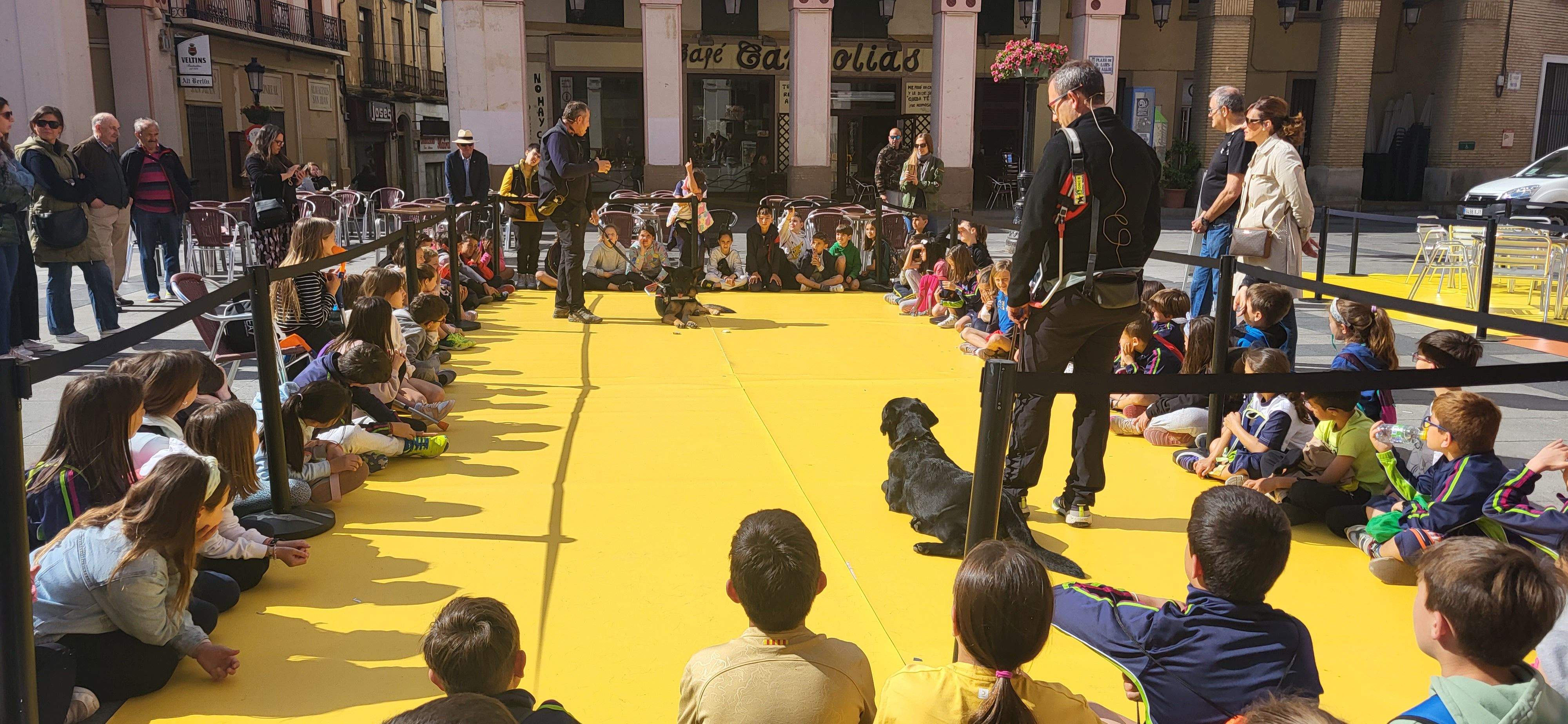 Exhibición con perros guía de la ONCE en Huesca. Foto Myriam Martínez
