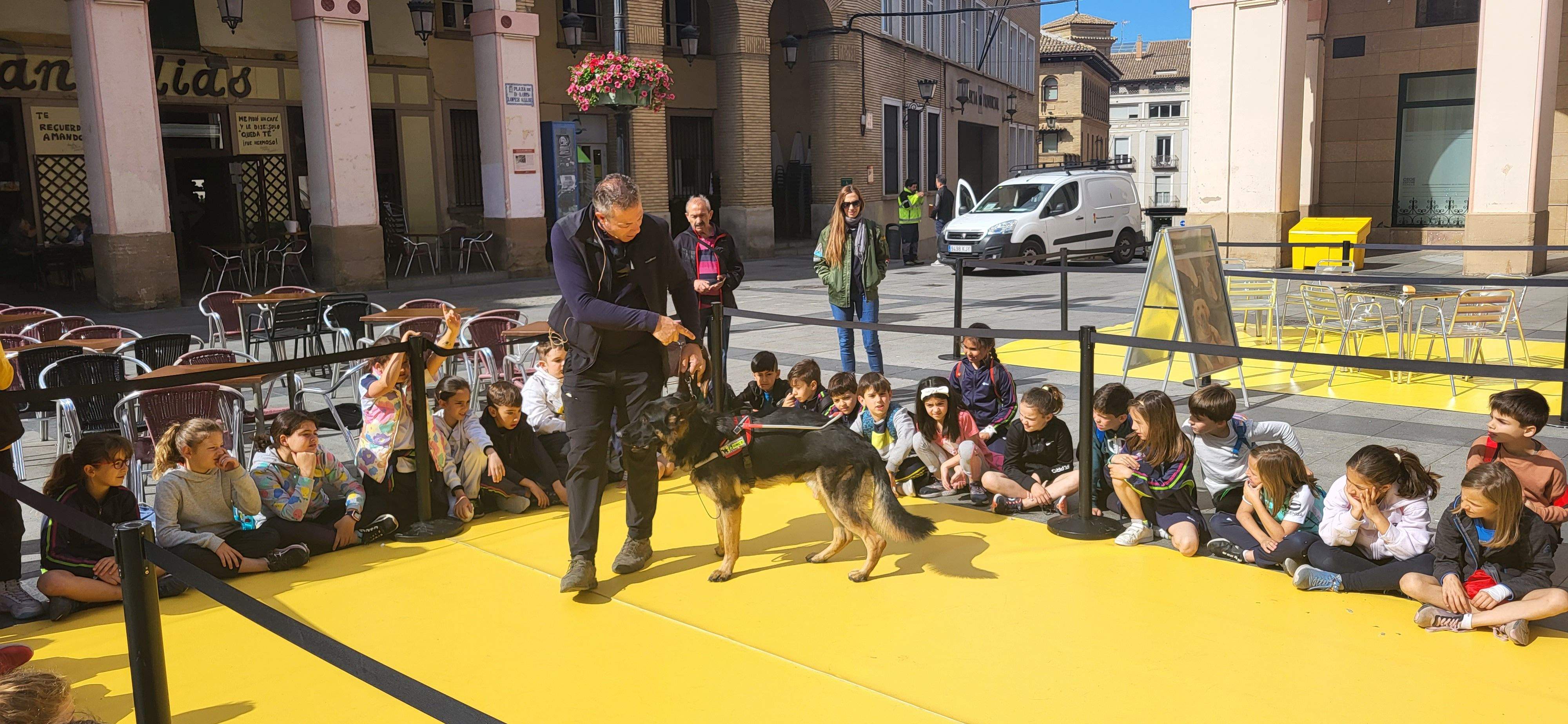 Exhibición con perros guía de la ONCE en Huesca. Foto Myriam Martínez
