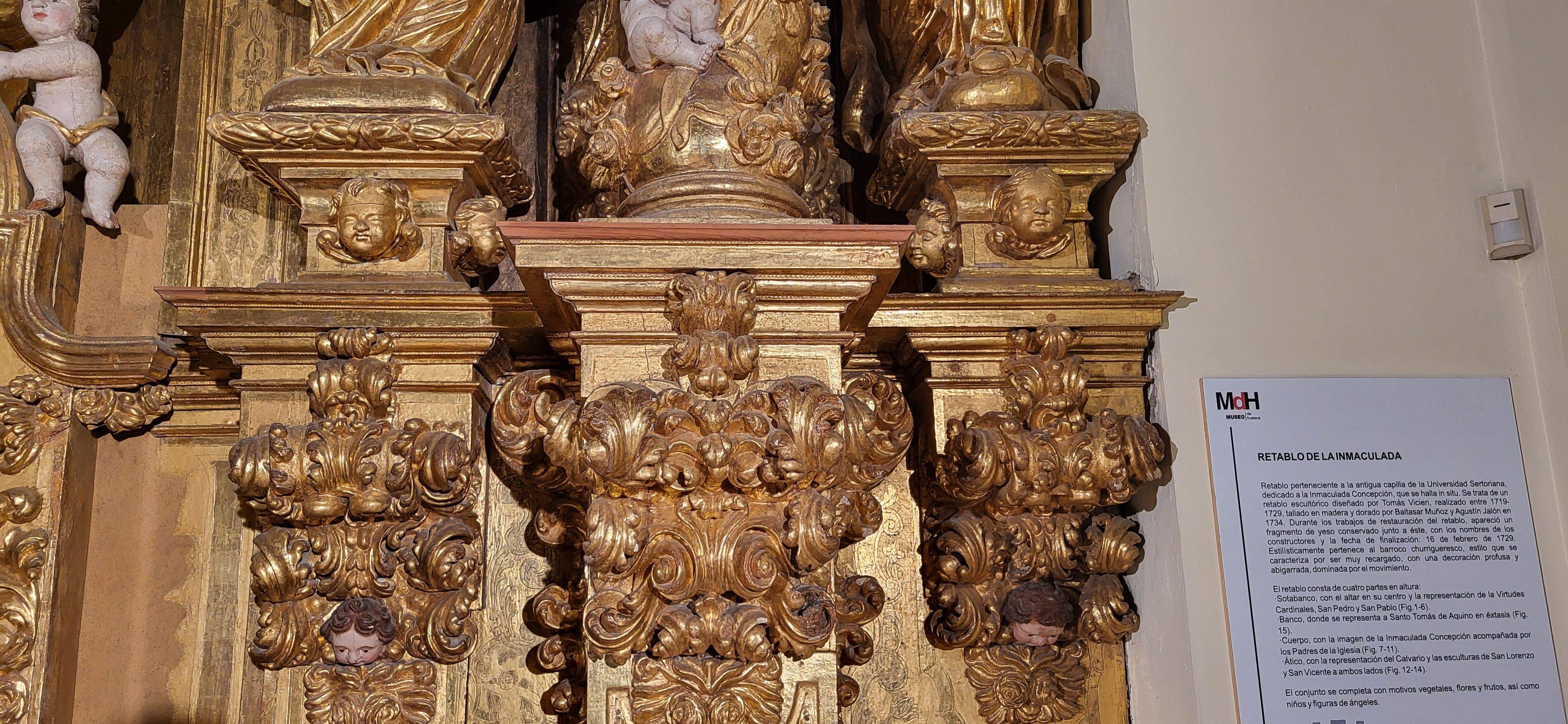 Presentación del itinerario botánico del Museo de Huesca. Foto Myriam Martínez