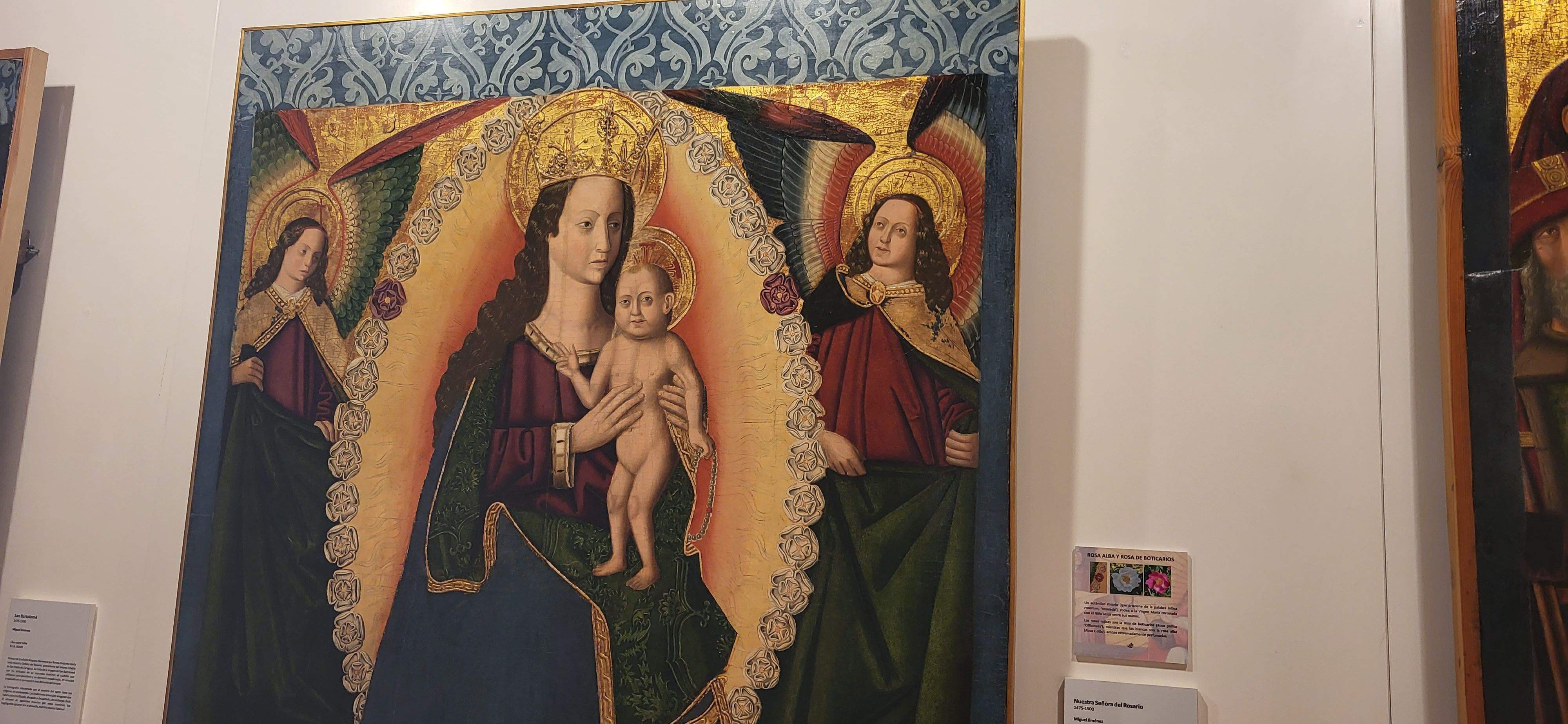 Presentación del itinerario botánico del Museo de Huesca. Foto Myriam Martínez