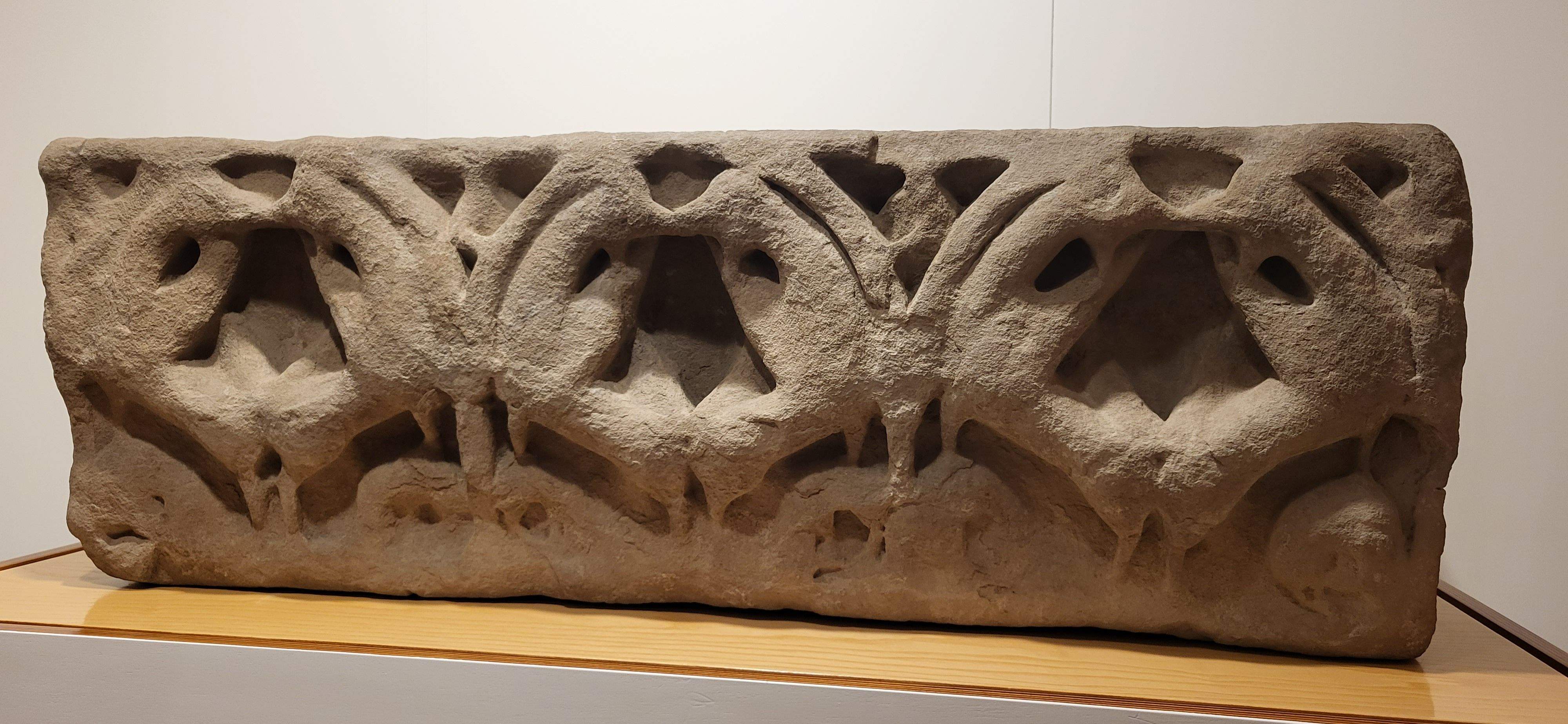 Presentación del itinerario botánico del Museo de Huesca. Foto Myriam Martínez