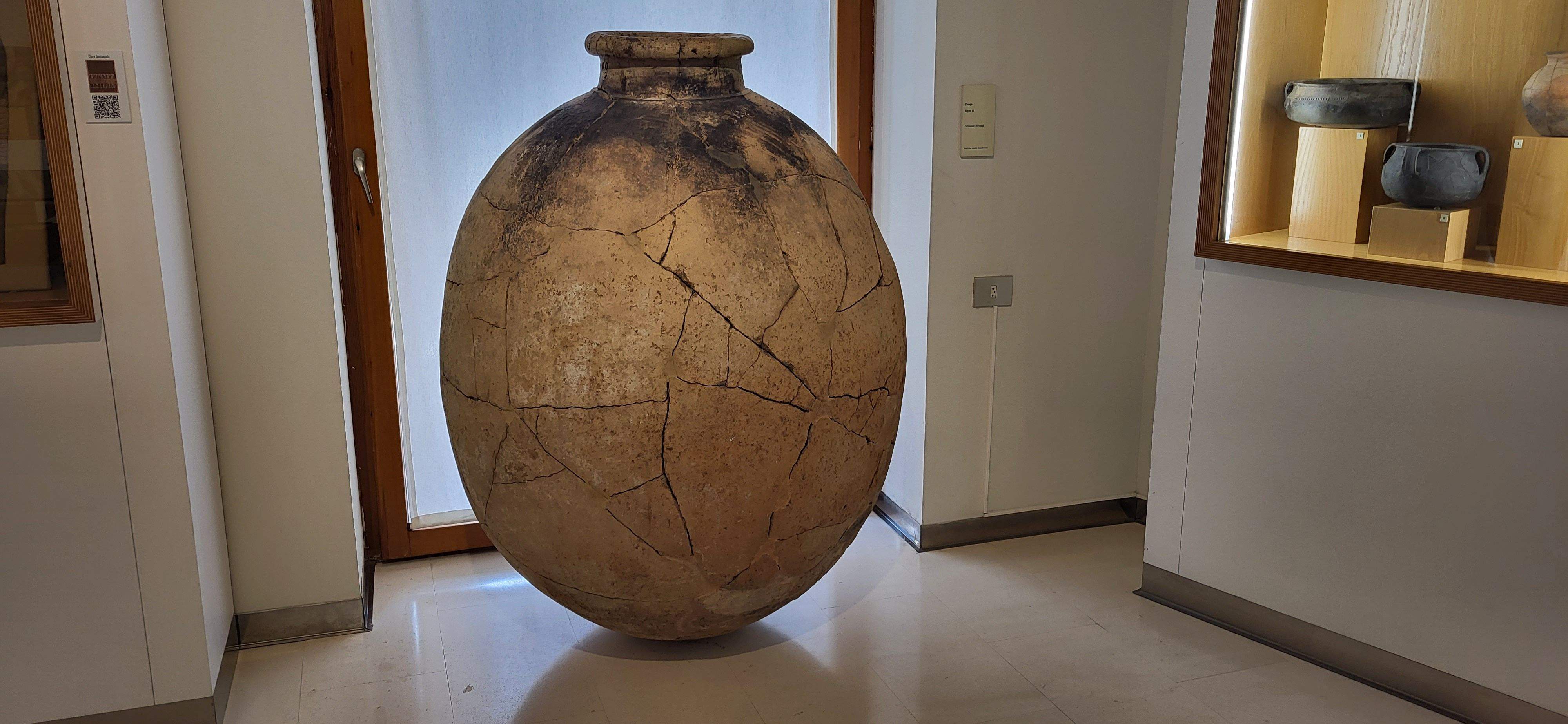 Presentación del itinerario botánico del Museo de Huesca. Foto Myriam Martínez