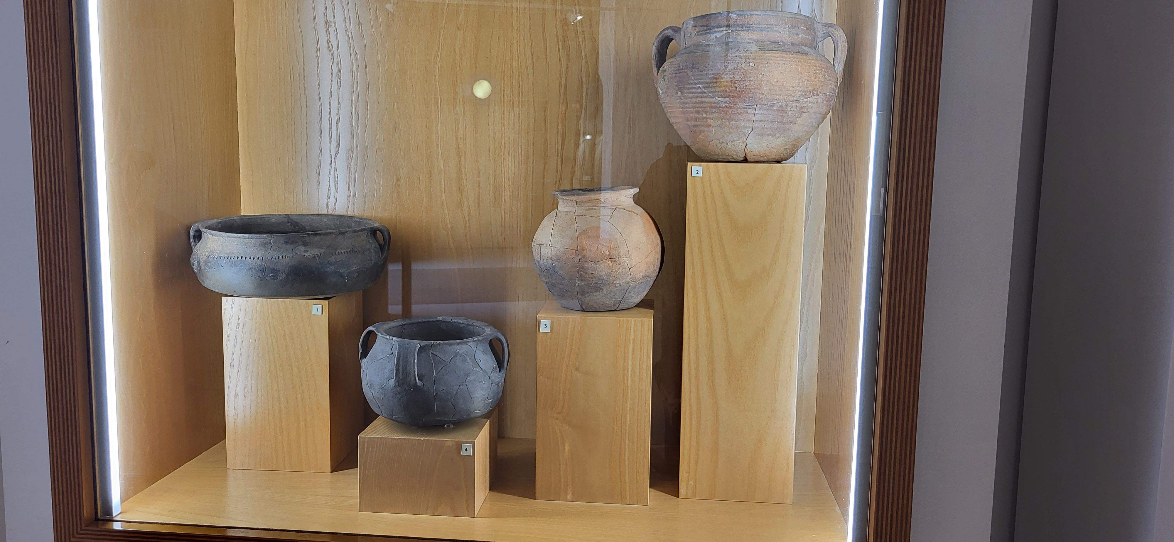 Presentación del itinerario botánico del Museo de Huesca. Foto Myriam Martínez