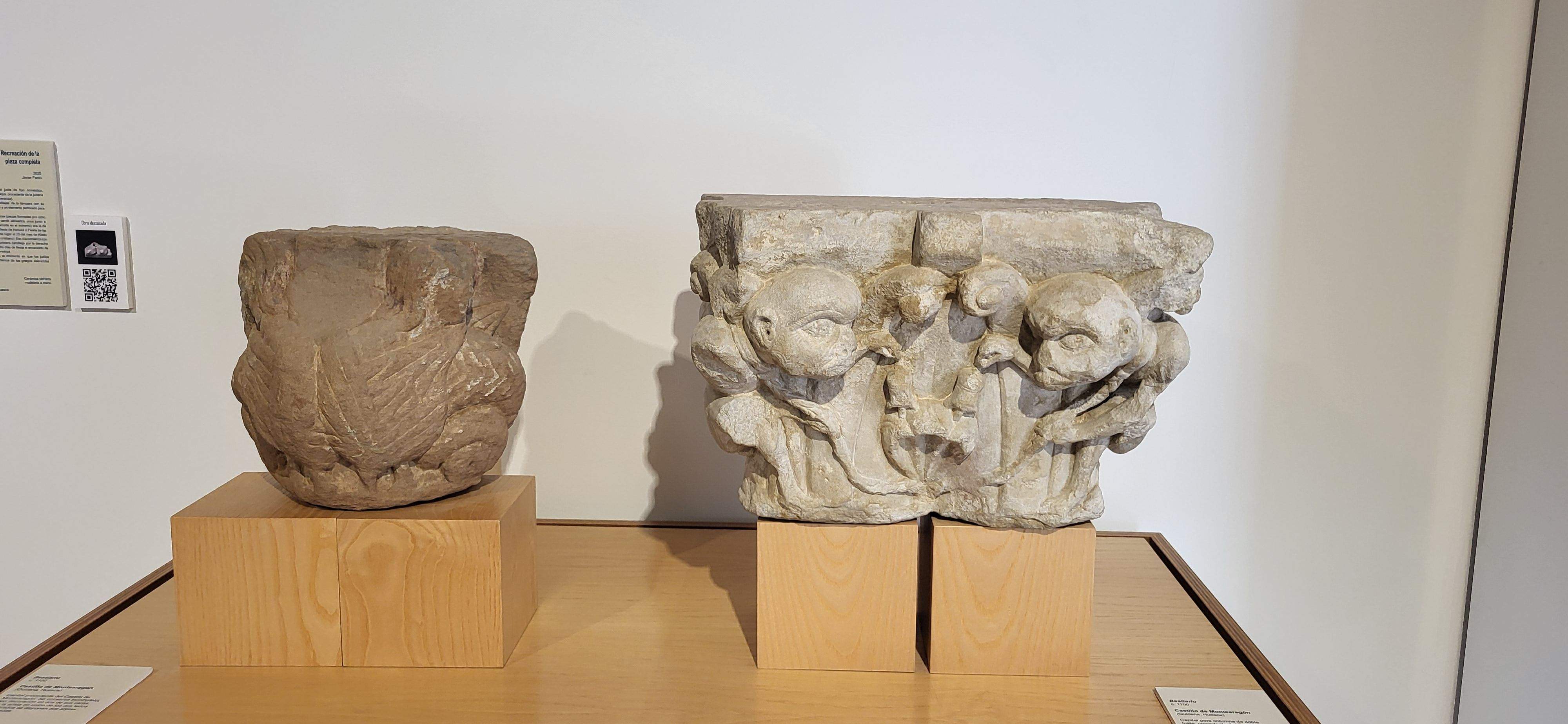 Presentación del itinerario botánico del Museo de Huesca. Foto Myriam Martínez