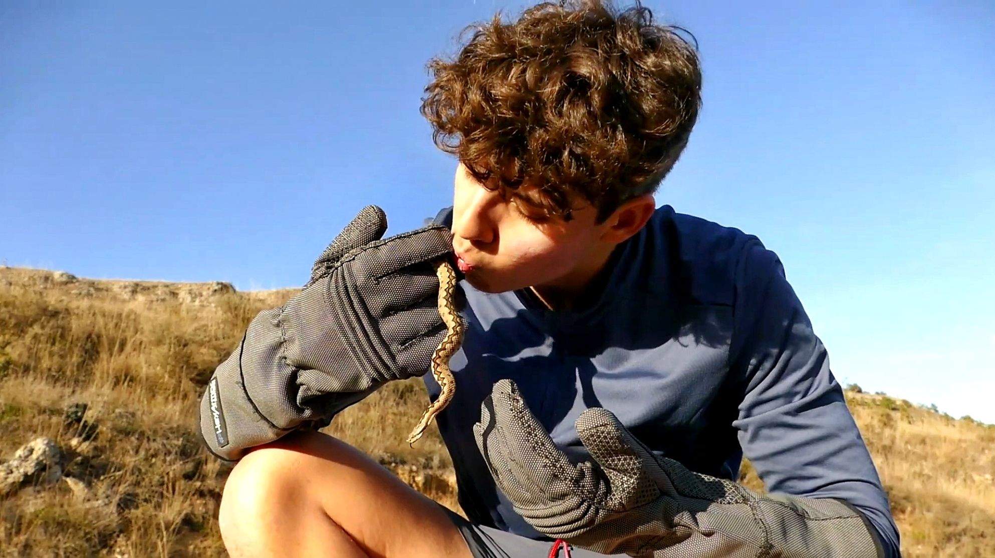 Pablofauna con víbora áspid la más letal de España.