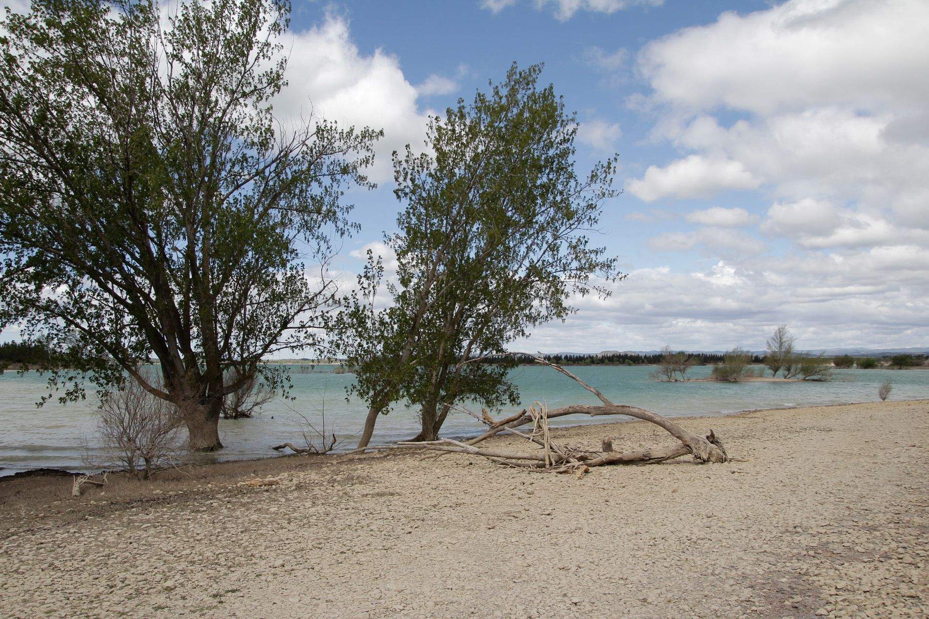 La ausencia de precipitaciones afecta a la reducción de la actividad económica.