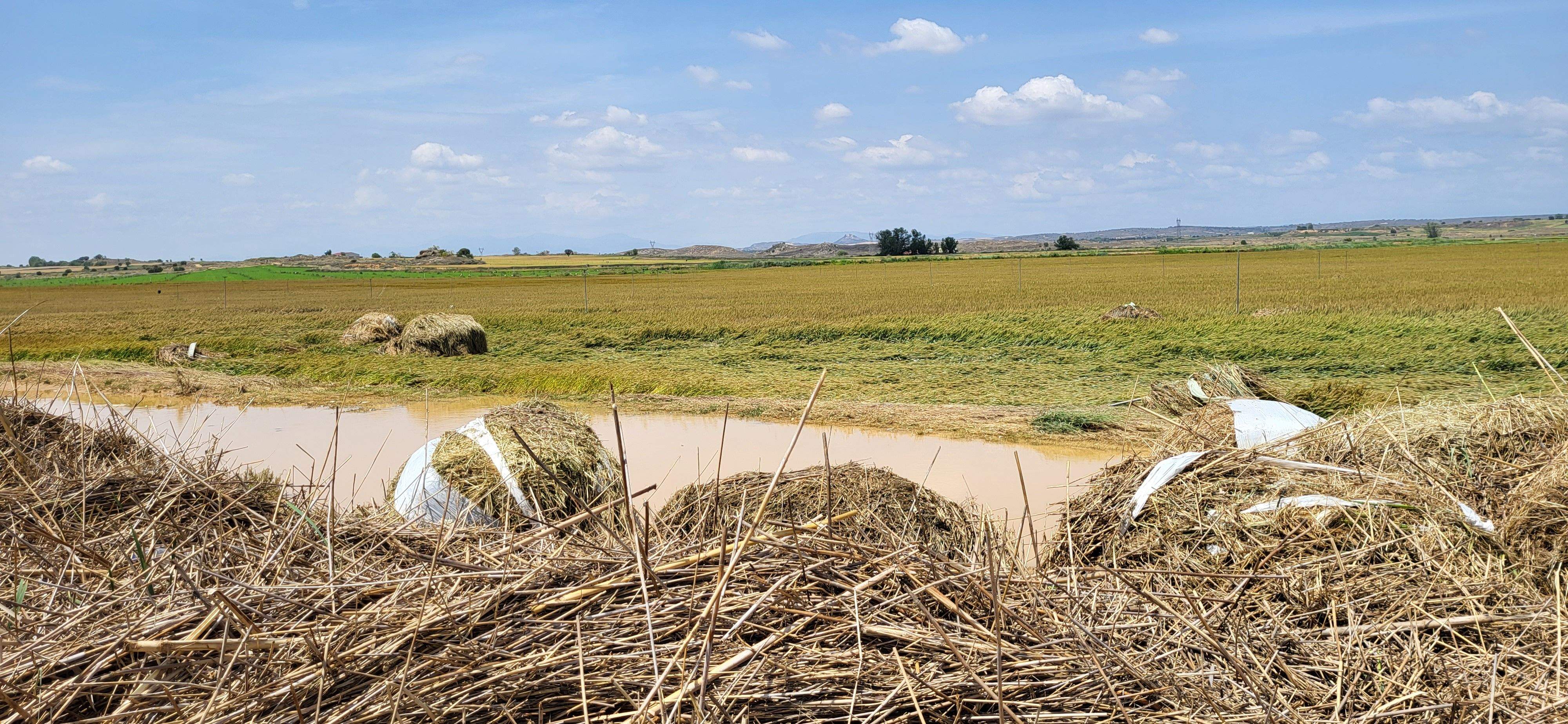 El barranco en la zona de Monesma, donde se registraron abundantes lluvias. Foto: Mercedes Manterola