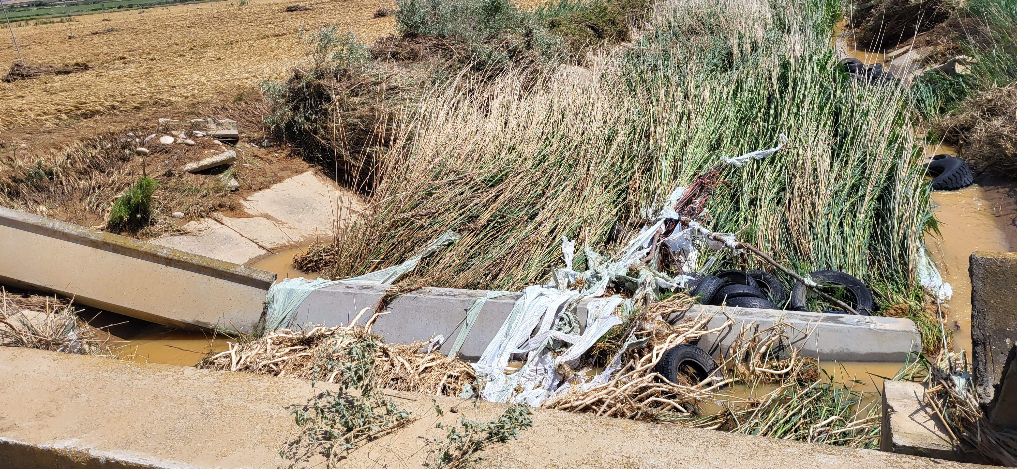 El barranco en la zona de Monesma, donde se registraron abundantes lluvias. Foto: Mercedes Manterola