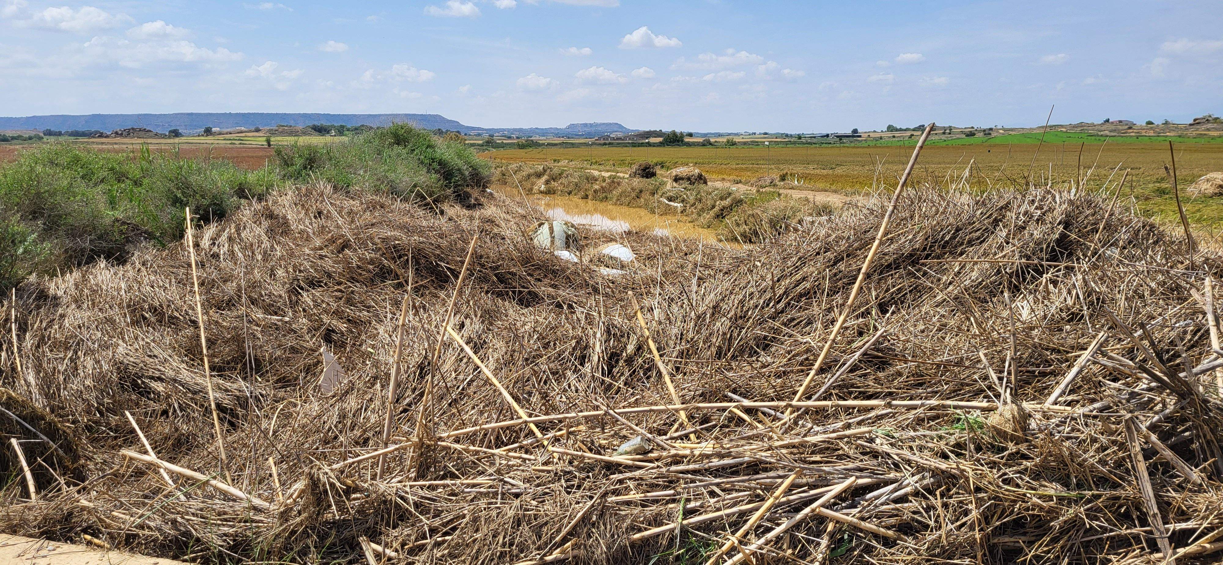 El barranco en la zona de Monesma, donde se registraron abundantes lluvias. Foto: Mercedes Manterola