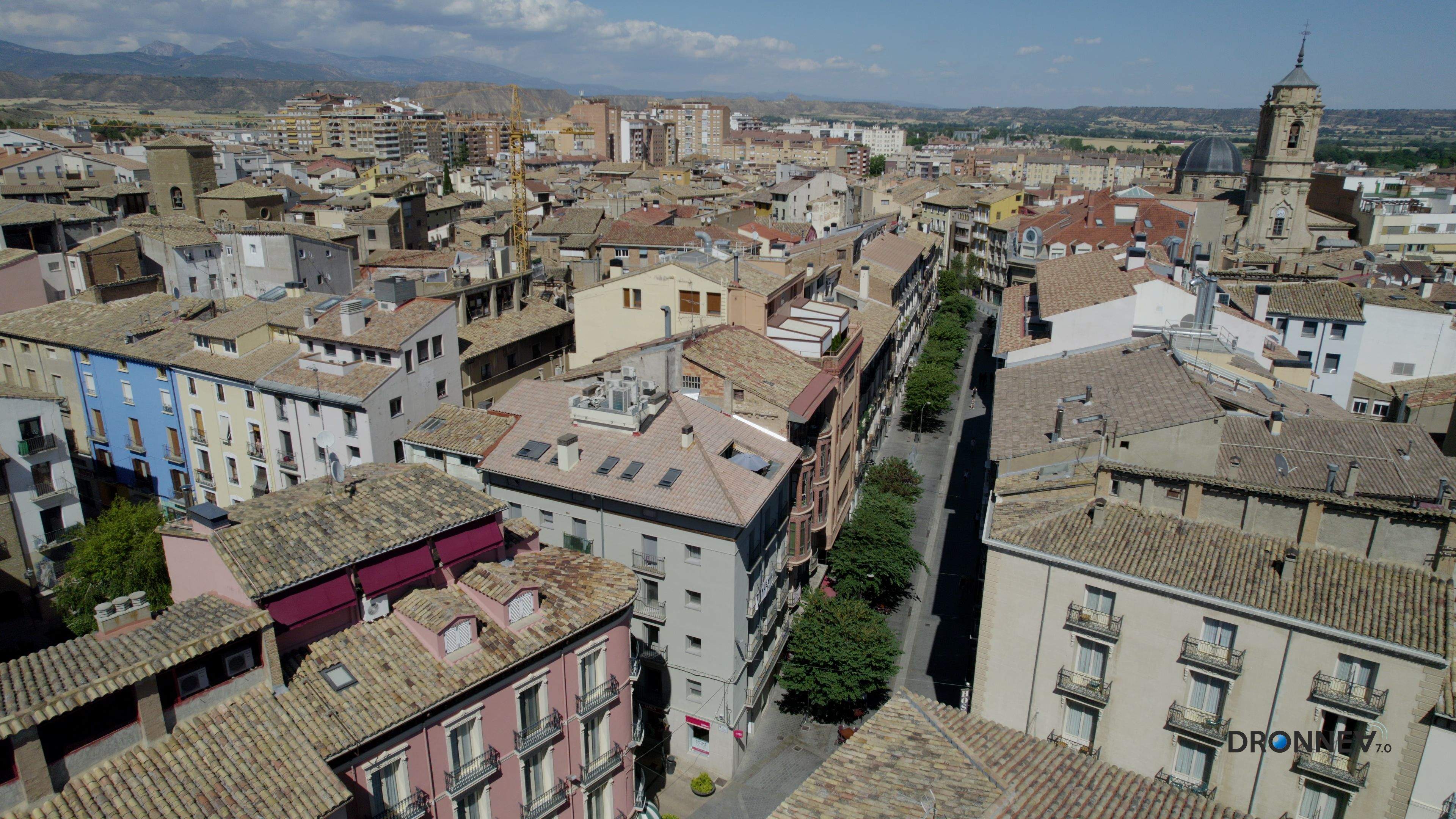 La paradoja urbana. Entre el pavimento y los edificios, el bosque no nos deja ver los árboles. Y, sin embargo, ponen el oxígeno al recorrido en el Coso Bajo. Para que practiquemos el "capacismo".