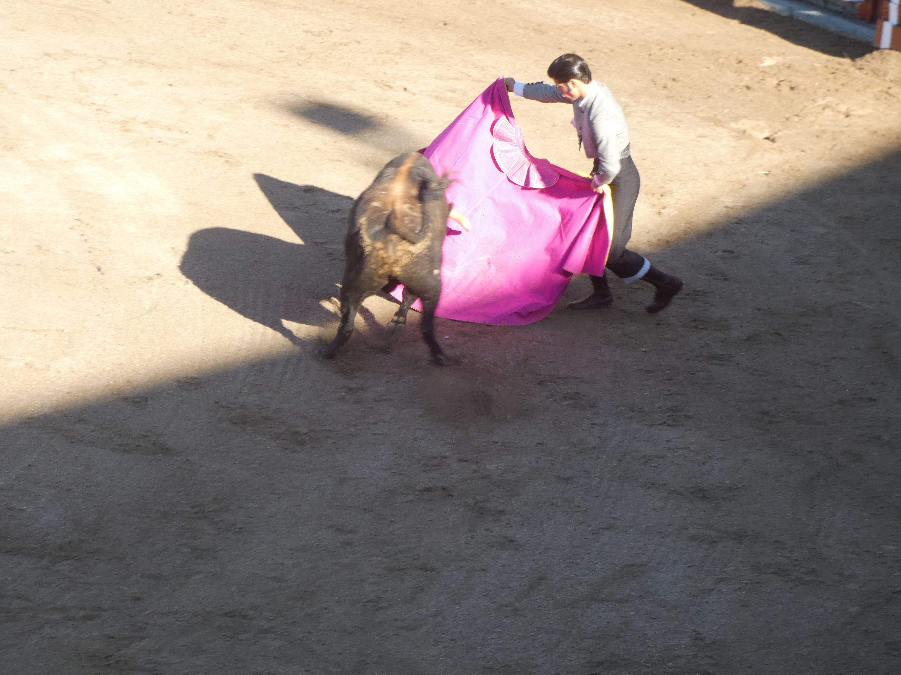 Miguel Porta Miravé ha cortado dos orejas y ha causado una excelente impresión.