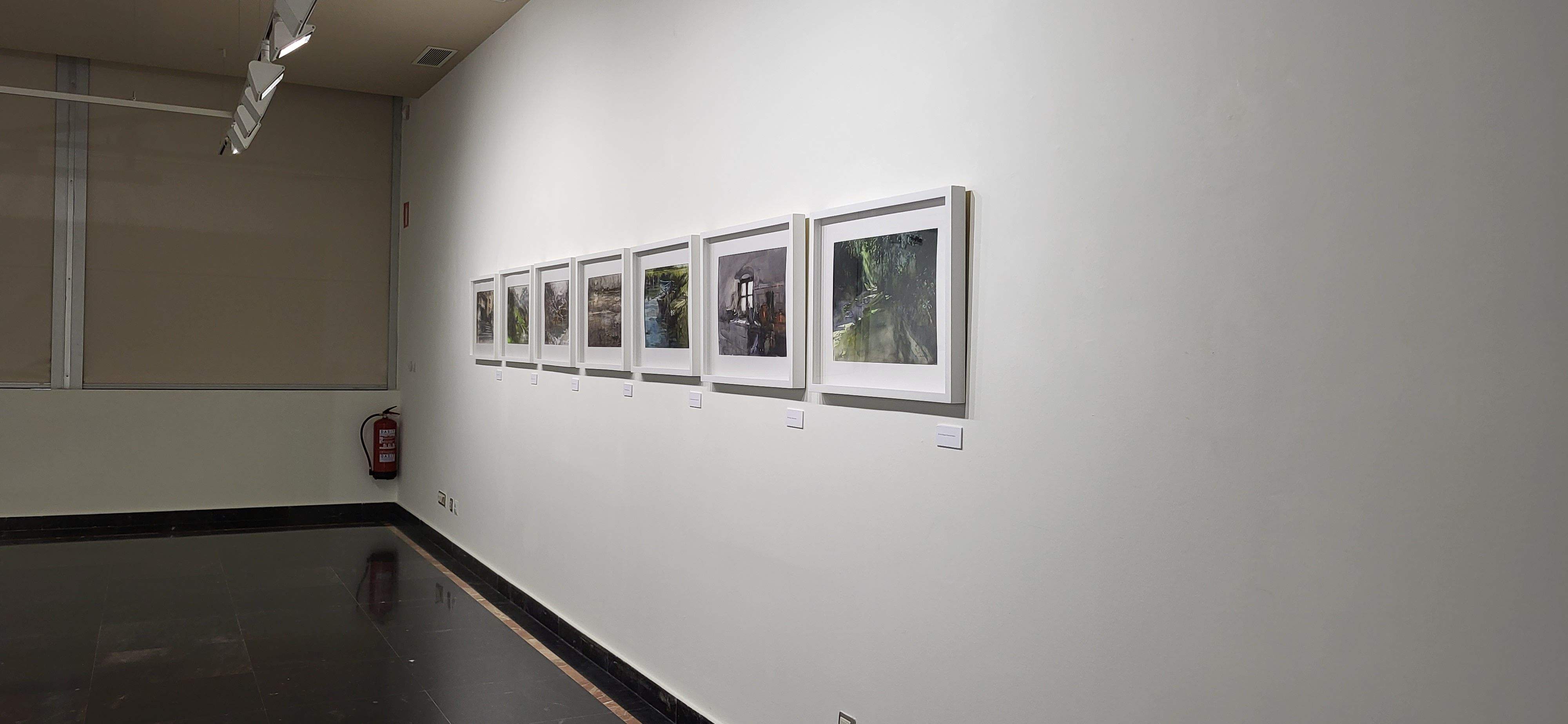 Exposición "Desde mi entorno" de Manuel Macías. Foto Myriam Martínez