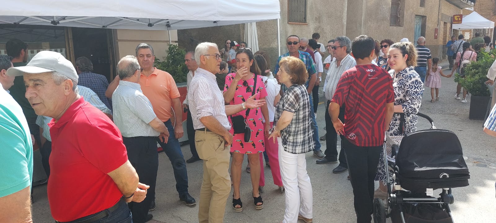 Feria de la Cereza de Bolea