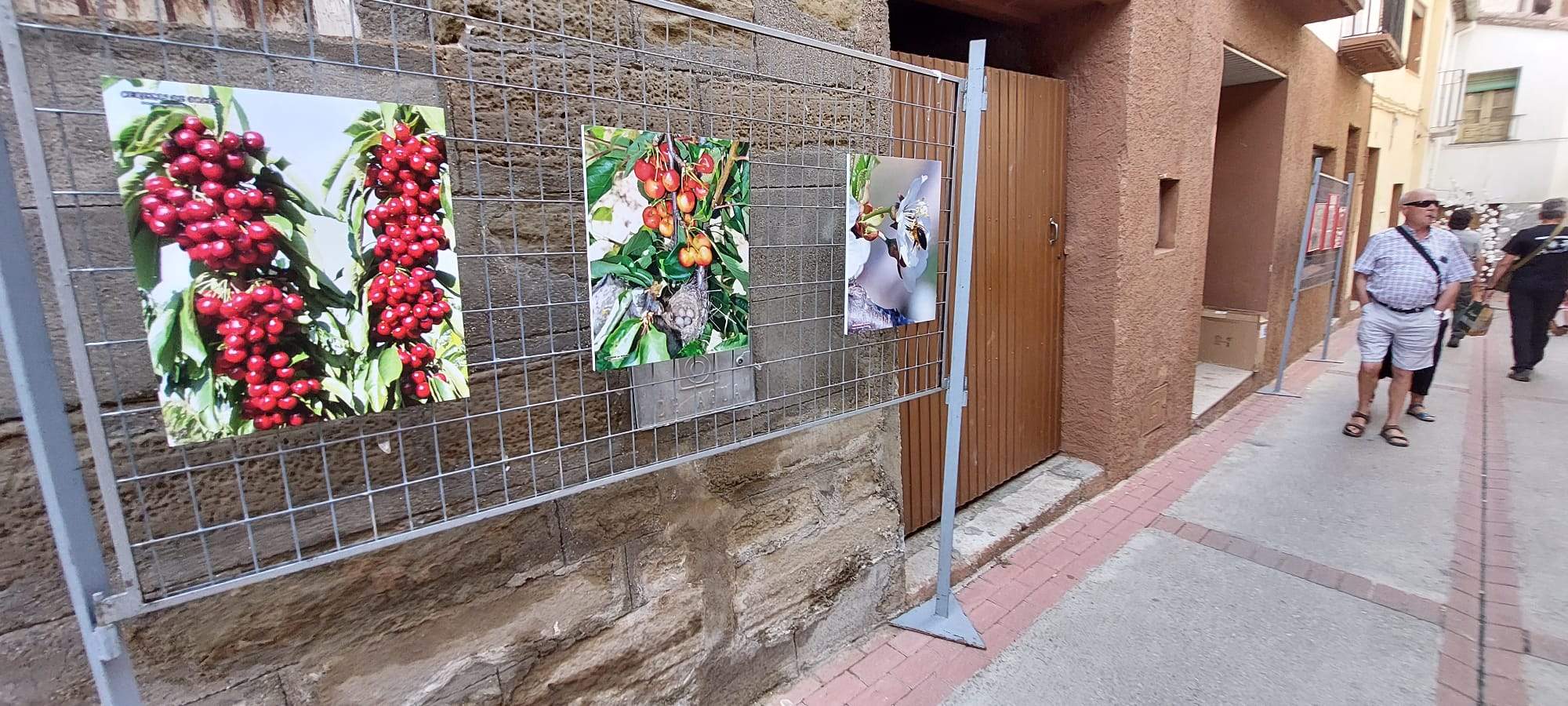 Feria de la Cereza de Bolea