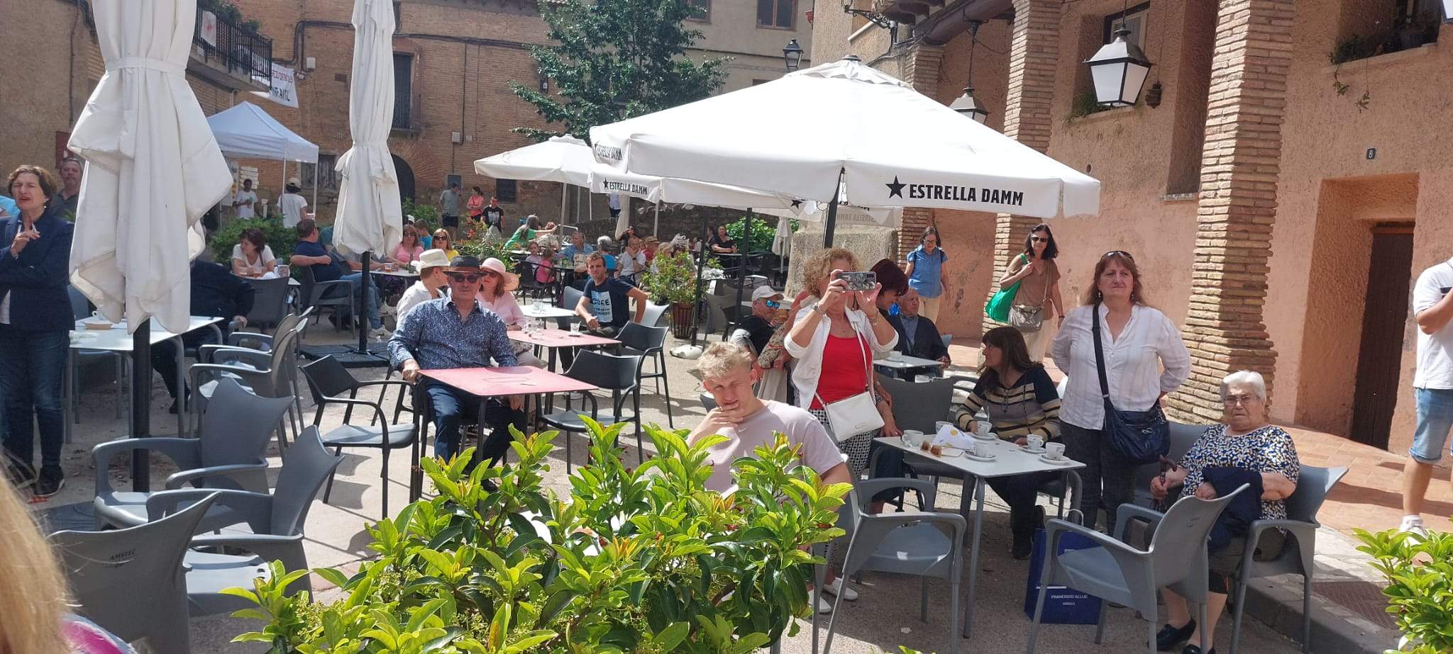 Feria de la Cereza de Bolea