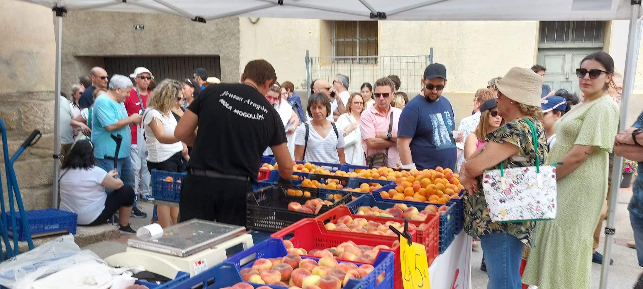 680cacea f6aa 4908 8be9 a52f7b944a3f