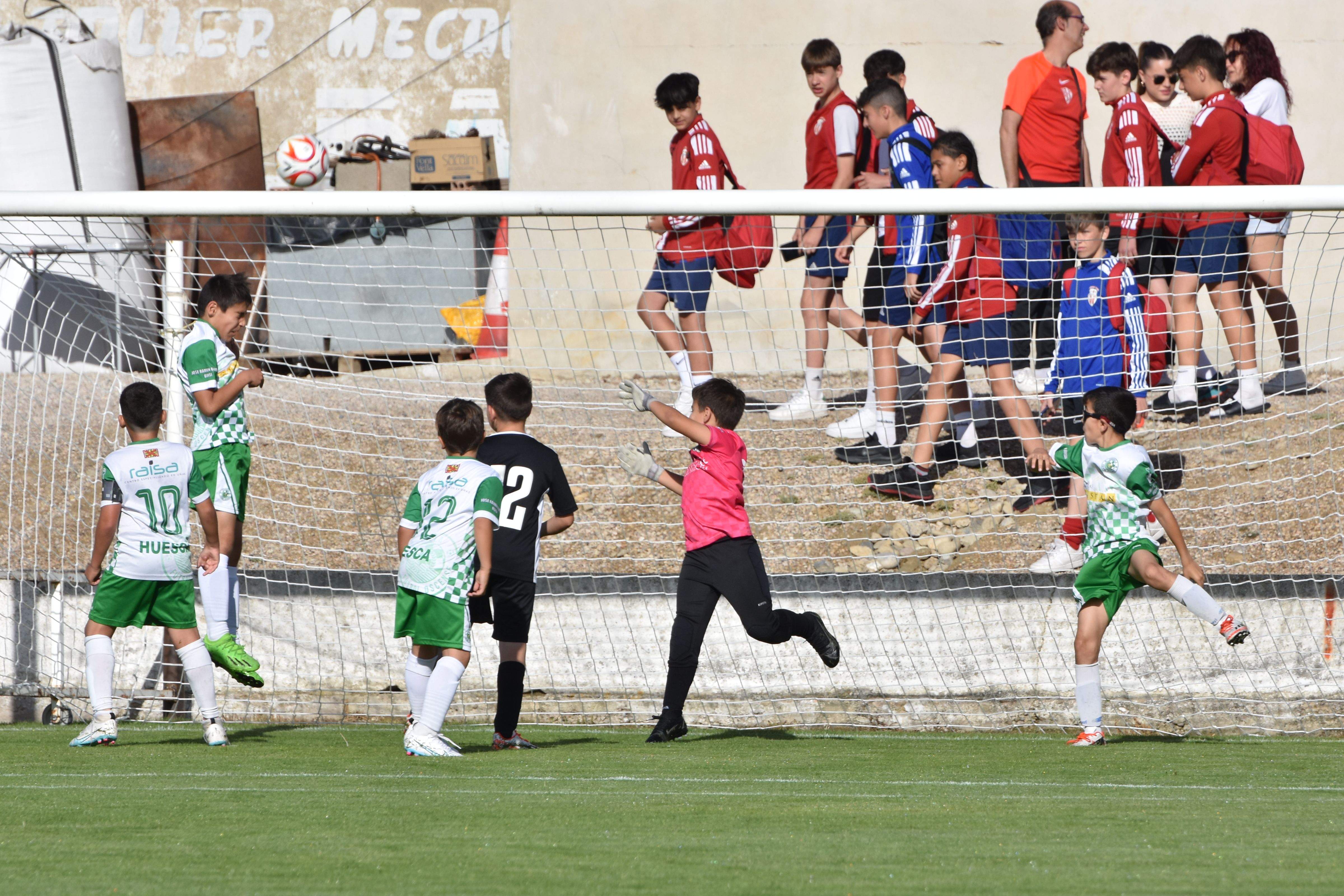 XXI Día Deporte Base Almudévar. Foto: Alfredo Royo