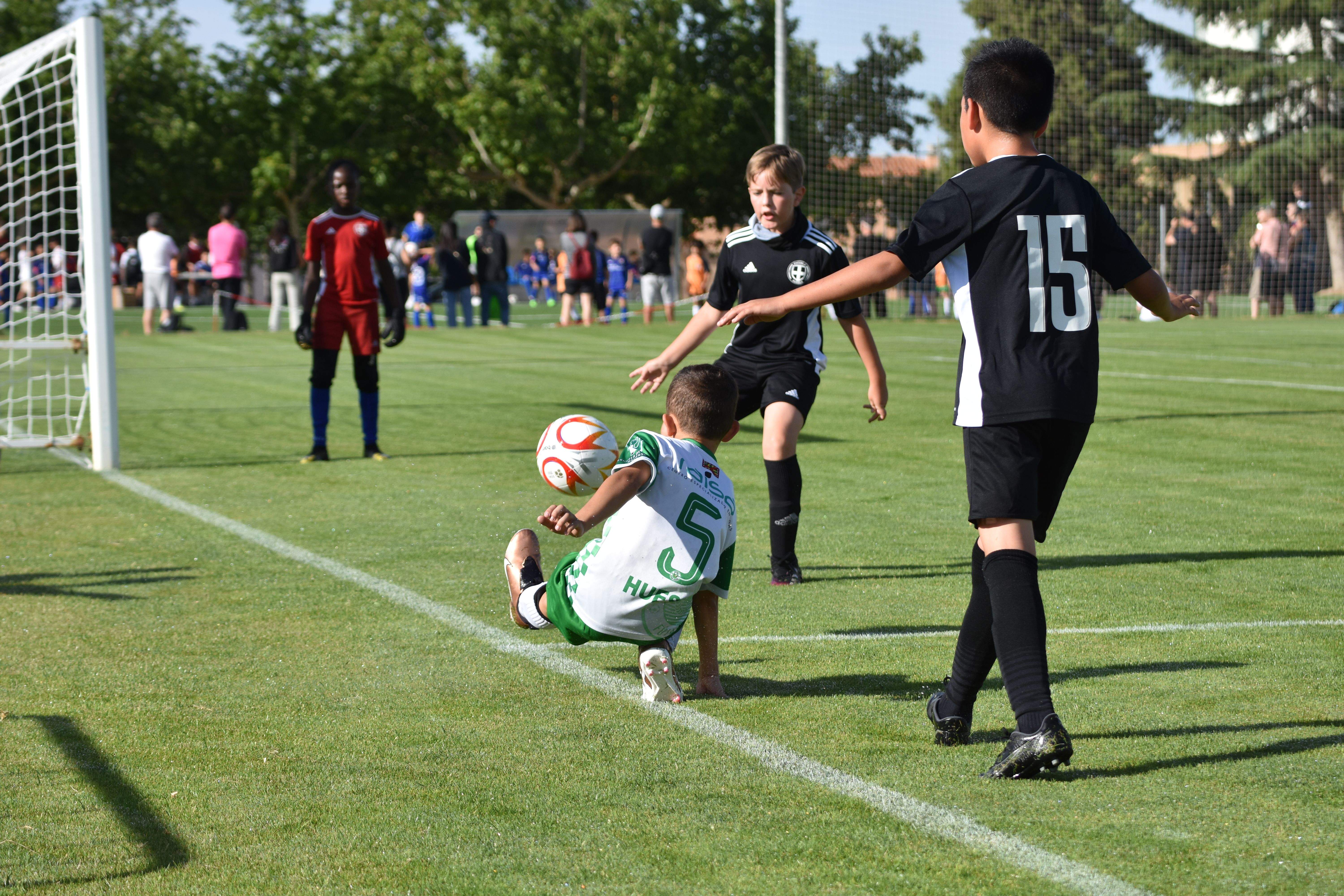 XXI Día Deporte Base Almudévar. Foto: Alfredo Royo