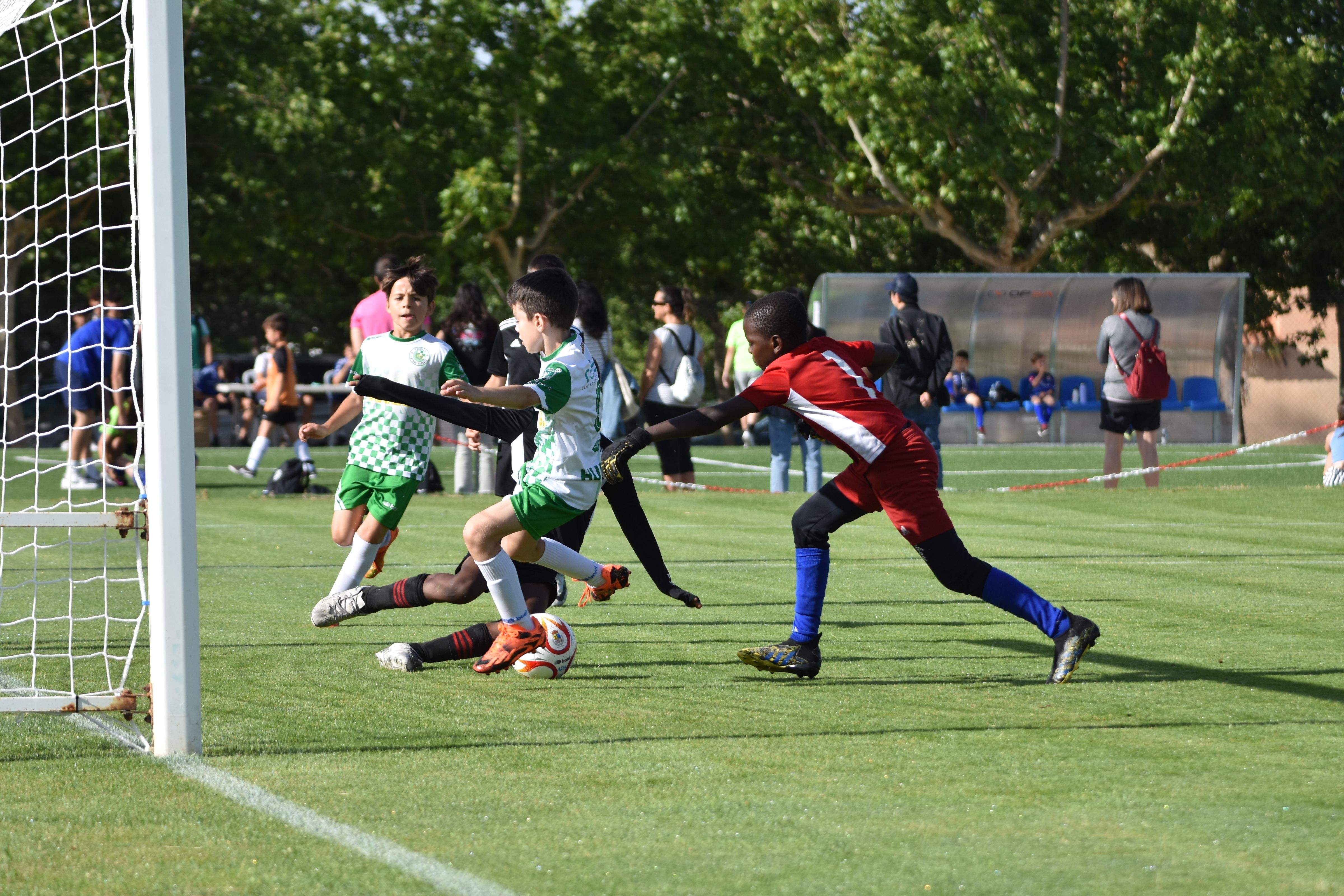 DSC 9375 (2023 06 11T13 15 23.094)