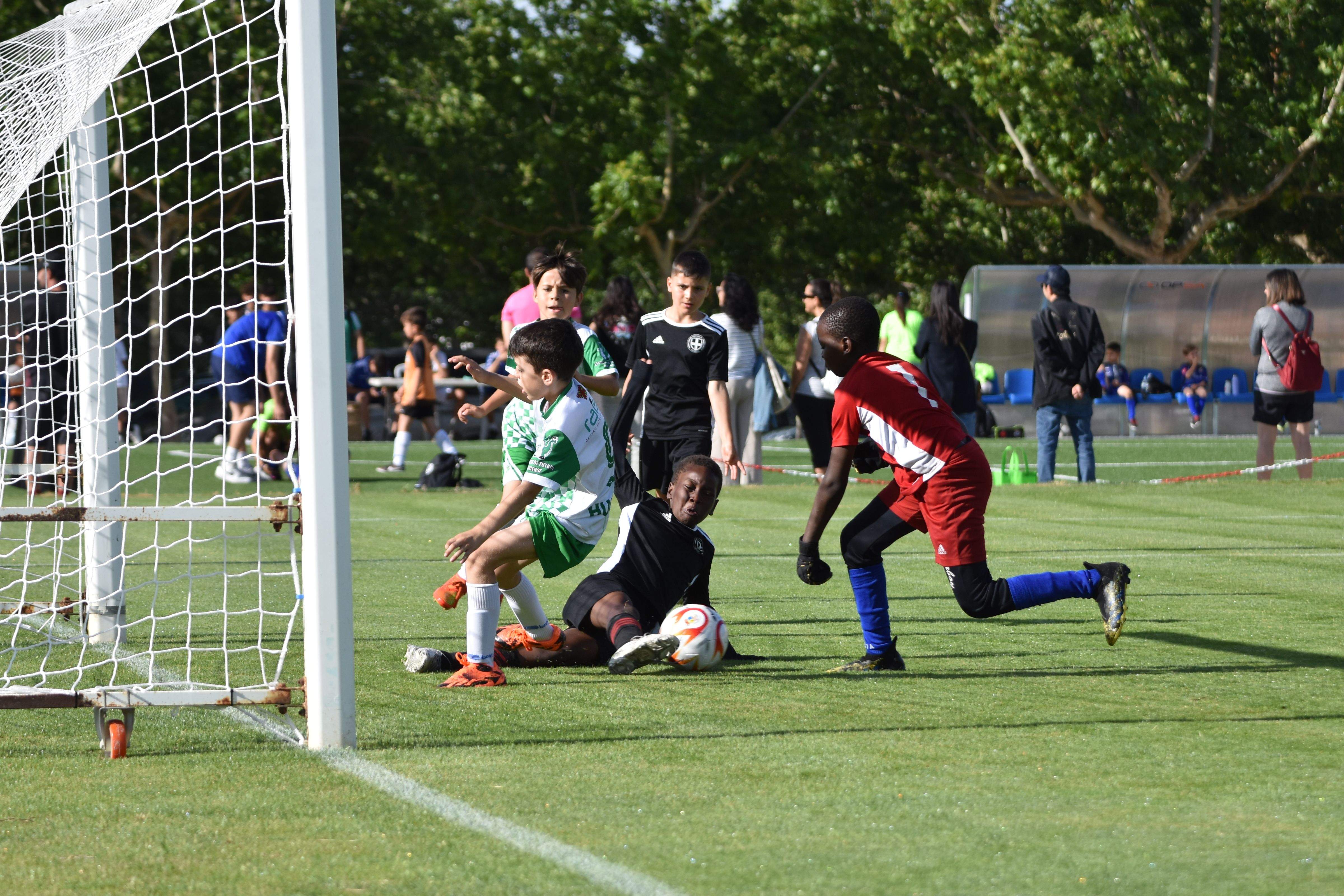 XXI Día Deporte Base Almudévar. Foto: Alfredo Royo