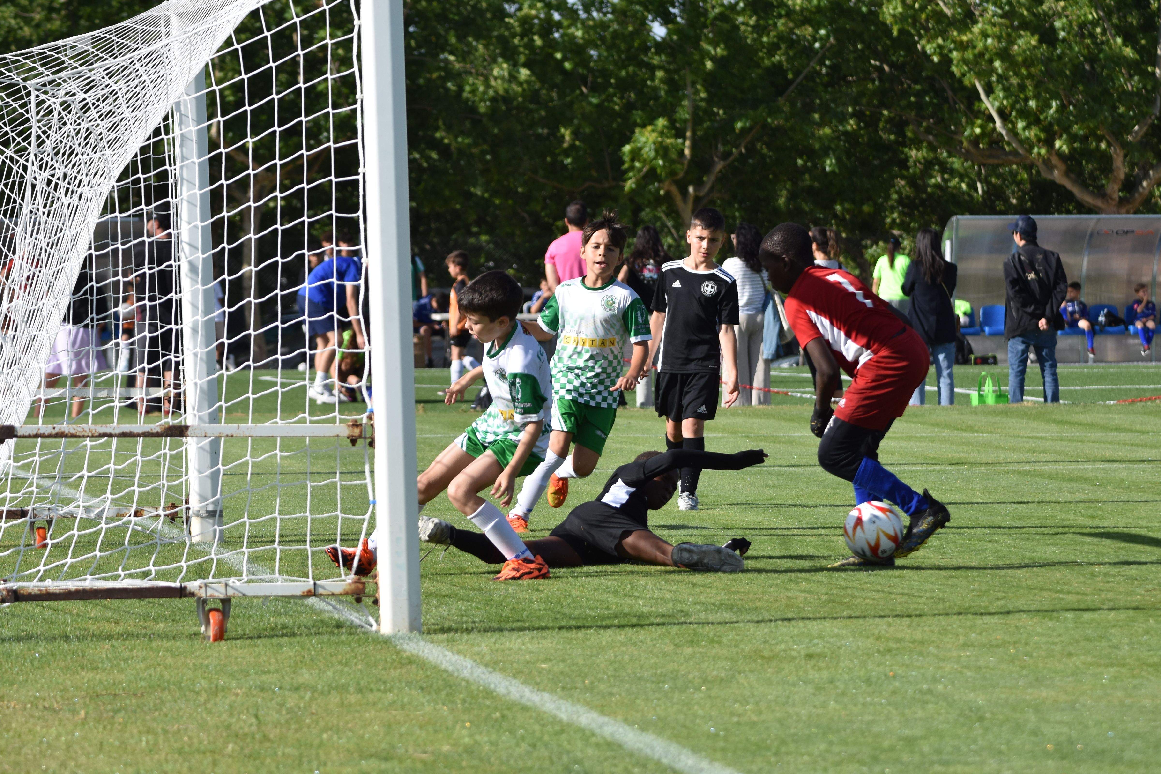 XXI Día Deporte Base Almudévar. Foto: Alfredo Royo
