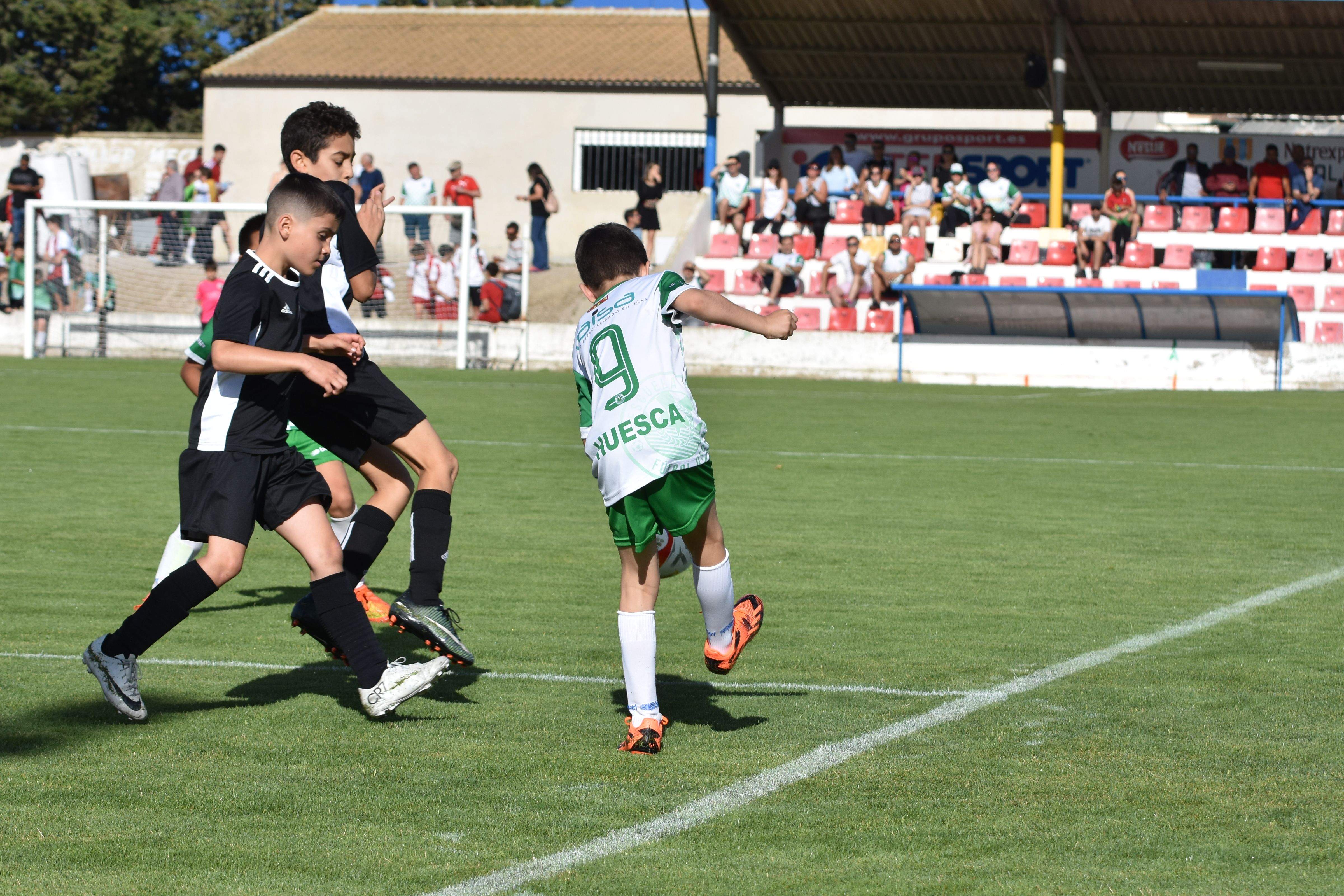 XXI Día Deporte Base Almudévar. Foto: Alfredo Royo