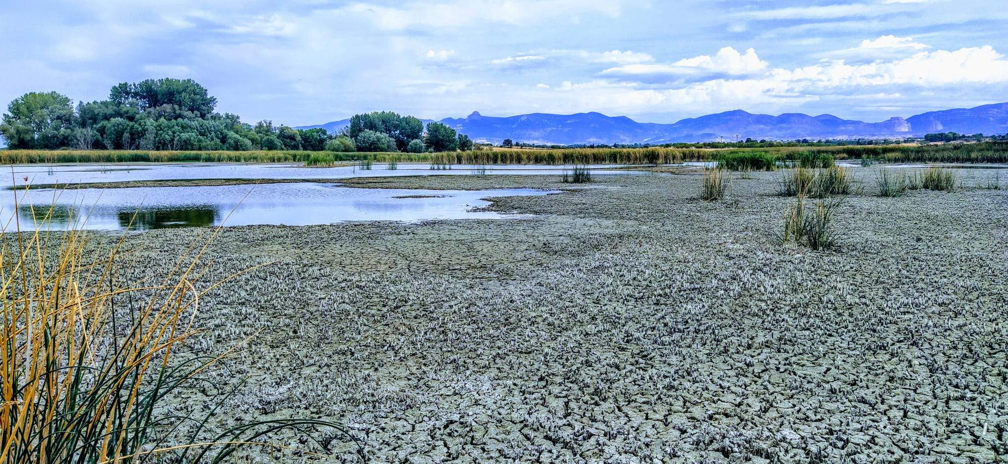 Irreconocible, reducida a una pequeña charca en su interior. Foto Joaquín Santafé 