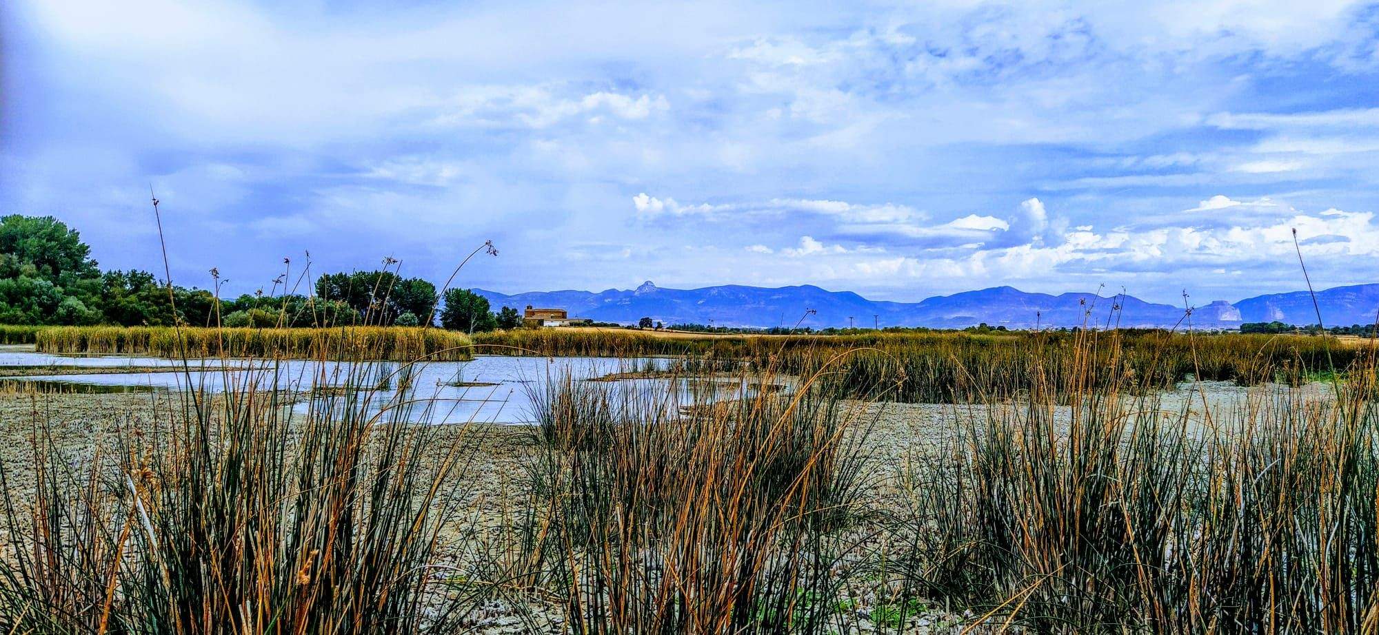 Igual que la Alberca de Cortés,  de momento se ven privadas las aves de su plenitud. Foto Joaquín Santafé 
