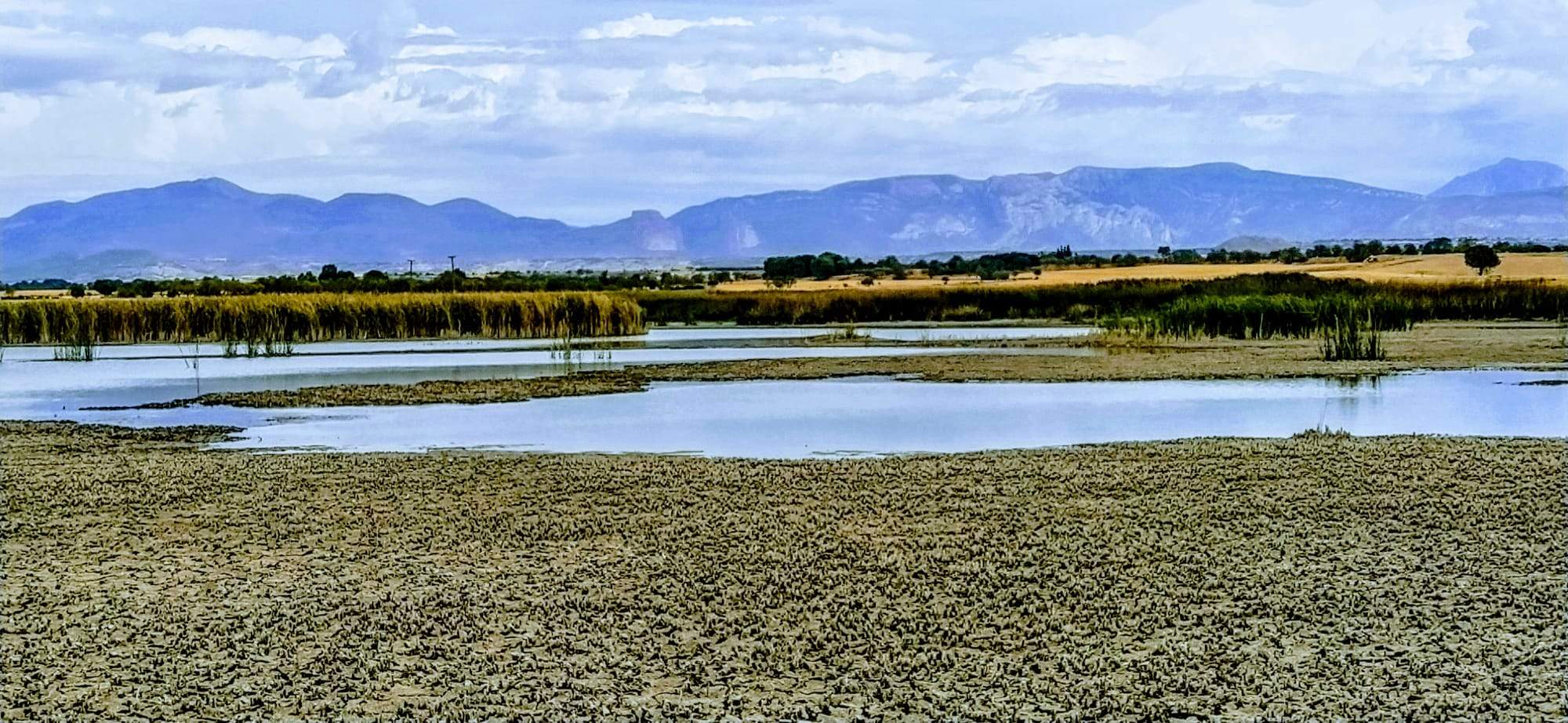 Alberca de Loreto. Foto Joaquín Santafé