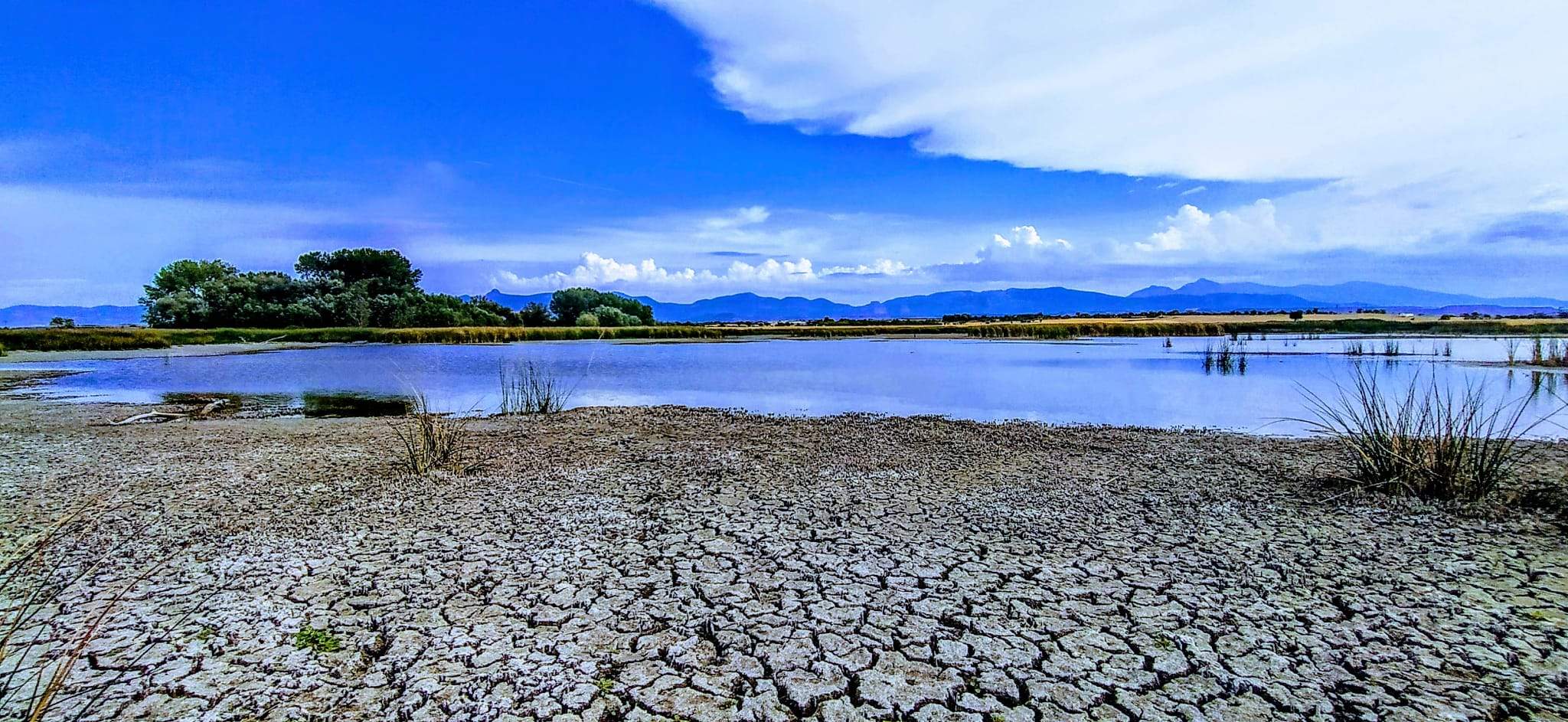 La Alberca de Loreto se alimenta del río Isuela. Foto Joaquín Santafé 