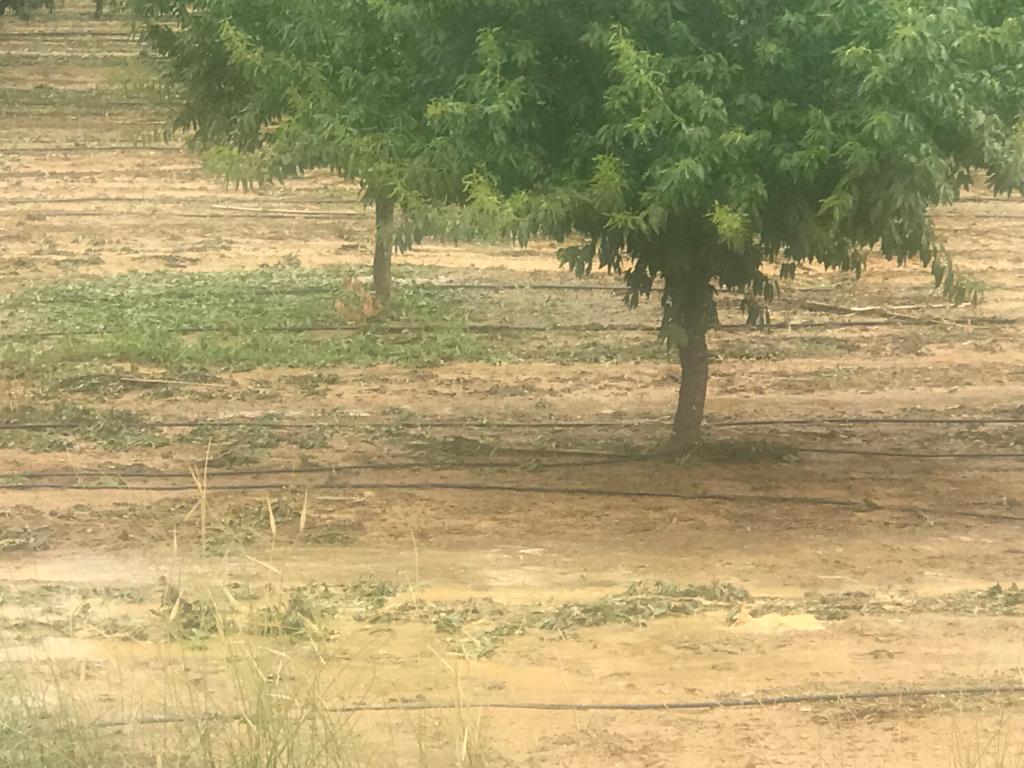 Daños por las fuertes tormentas y granizo en Huesca.