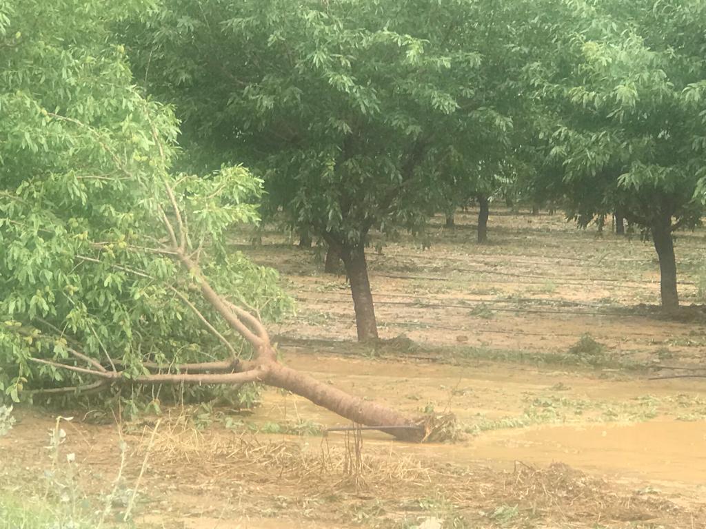 Daños por las fuertes tormentas y granizo en Huesca.